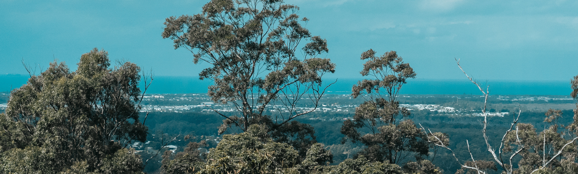 Buderim Tavern Header Image.png