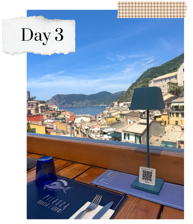 Beautiful view from restaurant down into Vernazza village