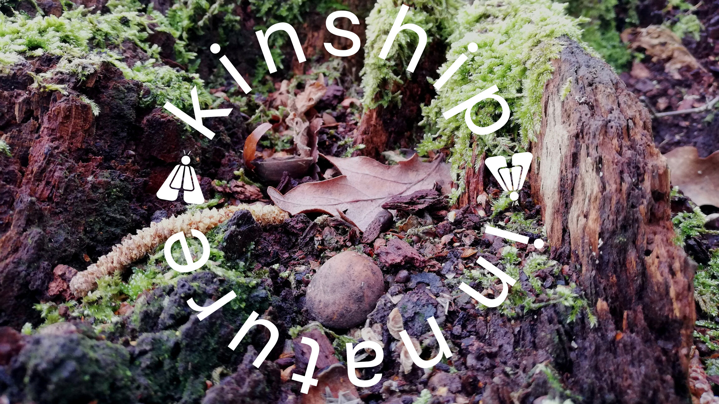 kinlogomoss.jpg