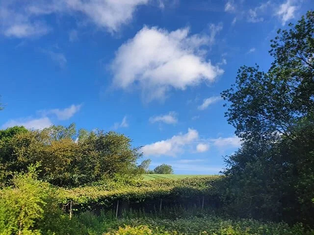 On our way to the markets, another stunning day! See you all today!