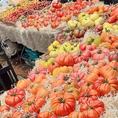 Is this tomato season yet!?
Reposted from @growingcommunities They&rsquo;re here! Tomato season has come to our farmers&rsquo; market in Stoke Newington. Plus straws, raspberries, gooseberries, a mountain of seasonal veg and bread, eggs, meat, cake, 