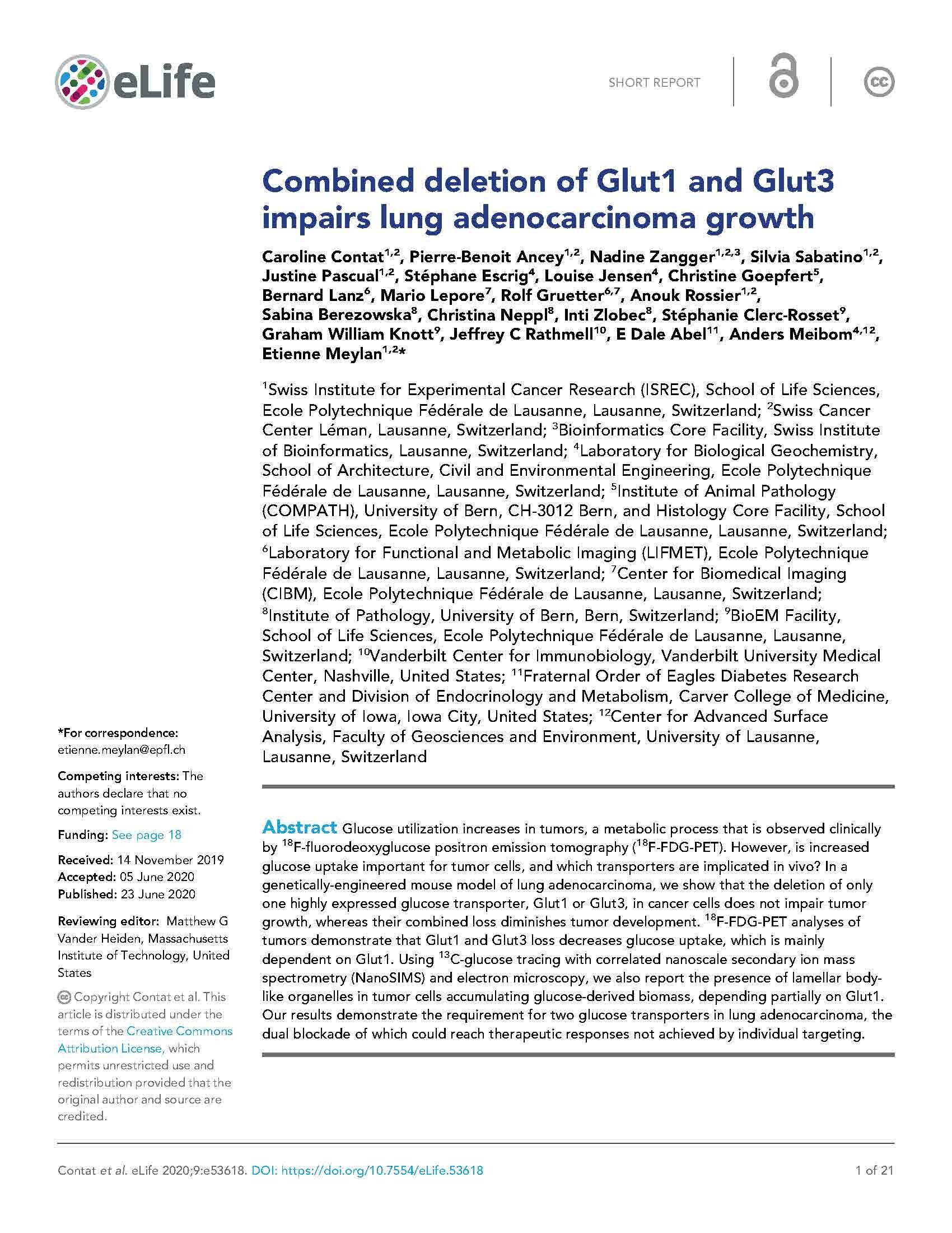 Combined_deletion_of_Glut1_and_Glut3_impairs_lung__Page_01.jpg