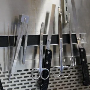 Patologist Tools Gross Pathology — PathElective