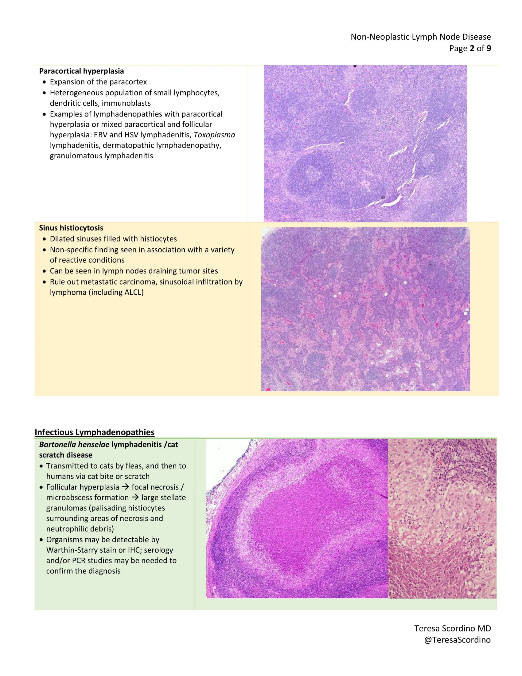 Non-Neoplastic Lymph Node Disease - Scordino 2020-2.jpg