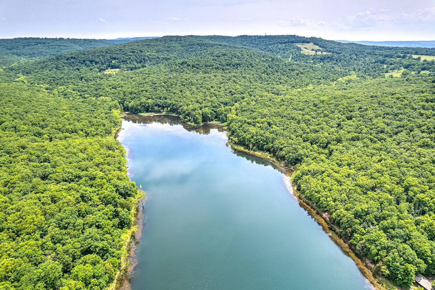 Black Bear Real Estate & Development