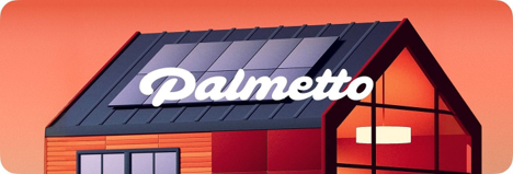Why We Invested in Palmetto