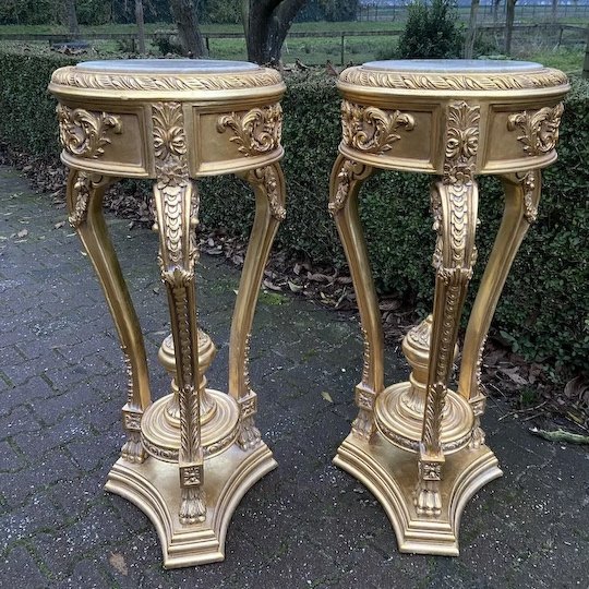 French-Louis-XVI-Pedestals-Side-Tables-full-1o-720-d0feeedd-d2d2d2.jpg