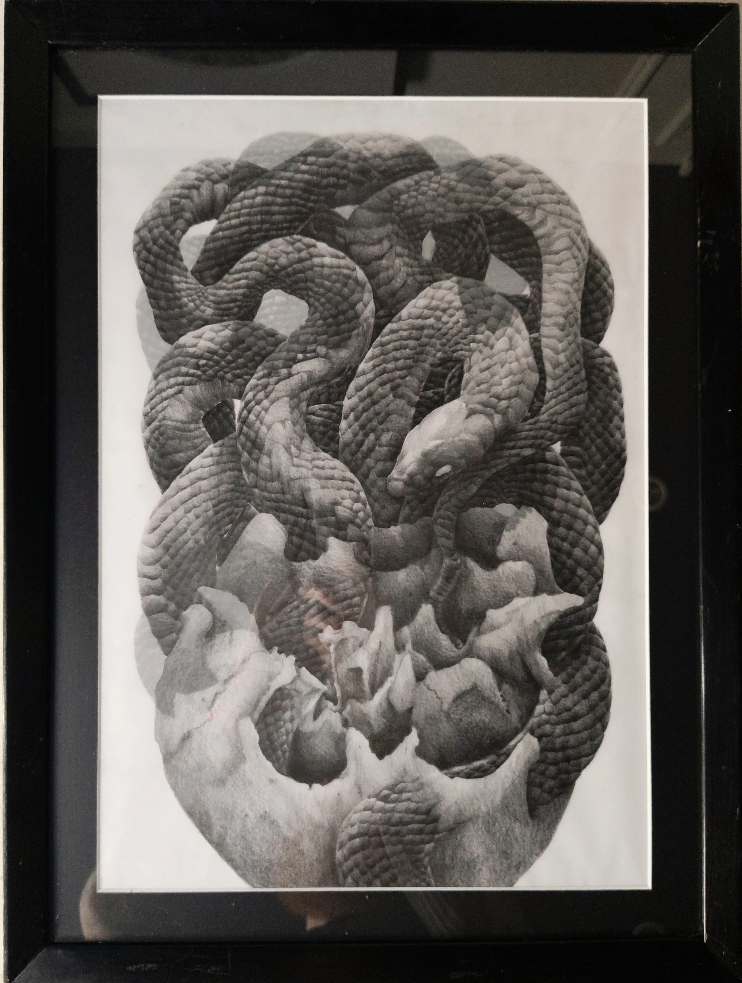 Skull Study XXIV.JPG