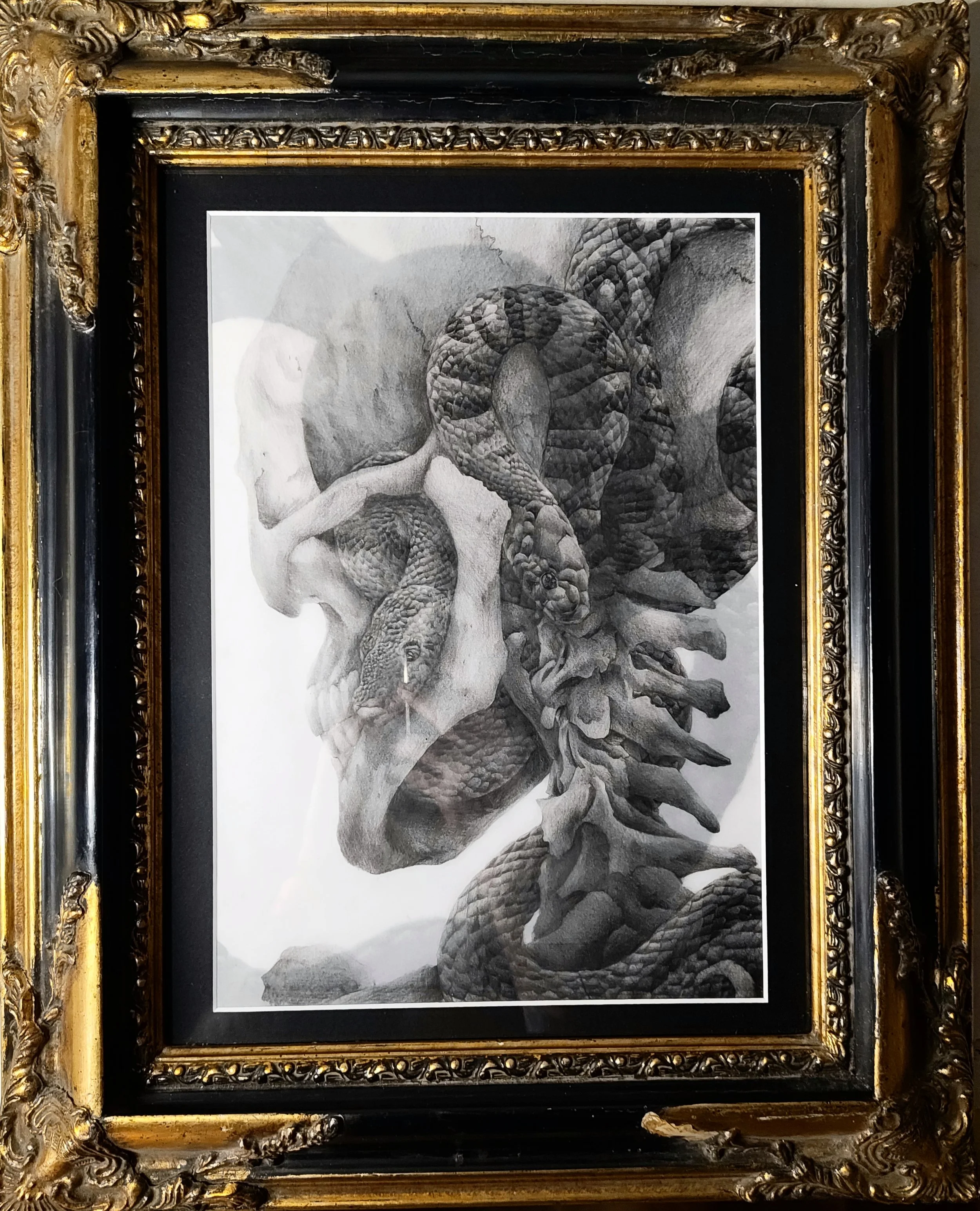 Skull Study XVII.JPG