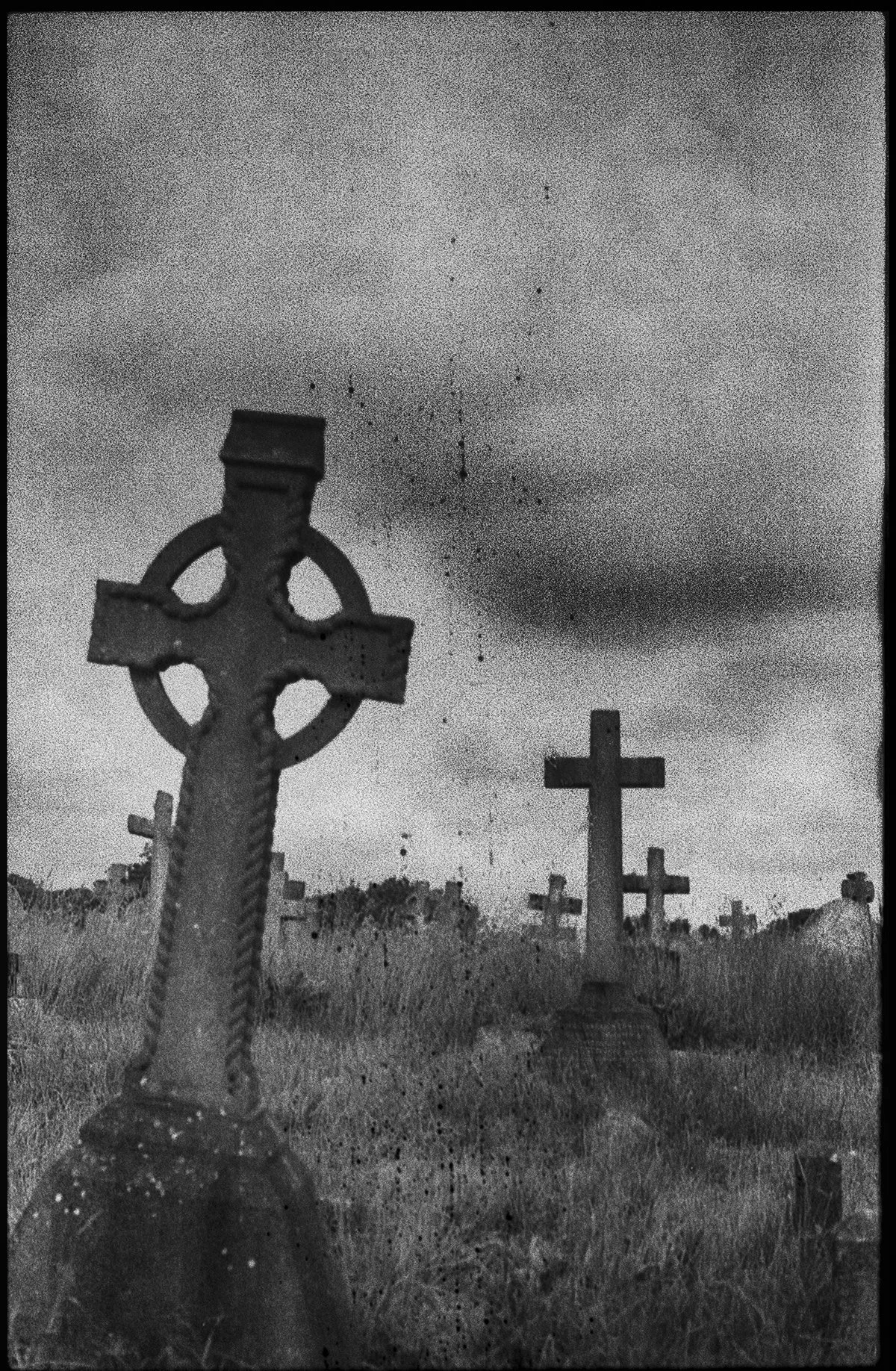 Mark Tamer - Expired 1