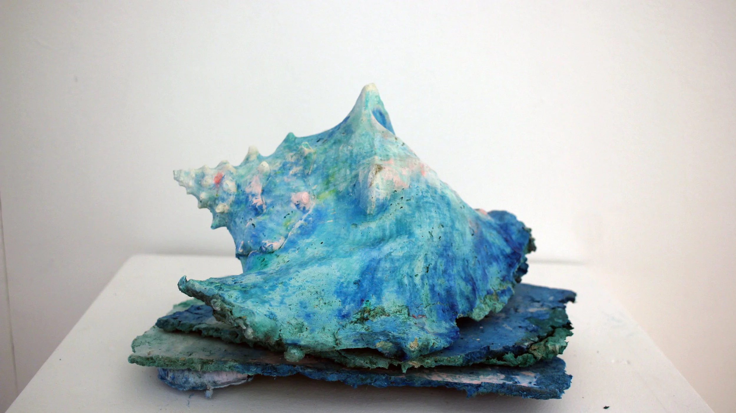 Conch - Catriona Robertson