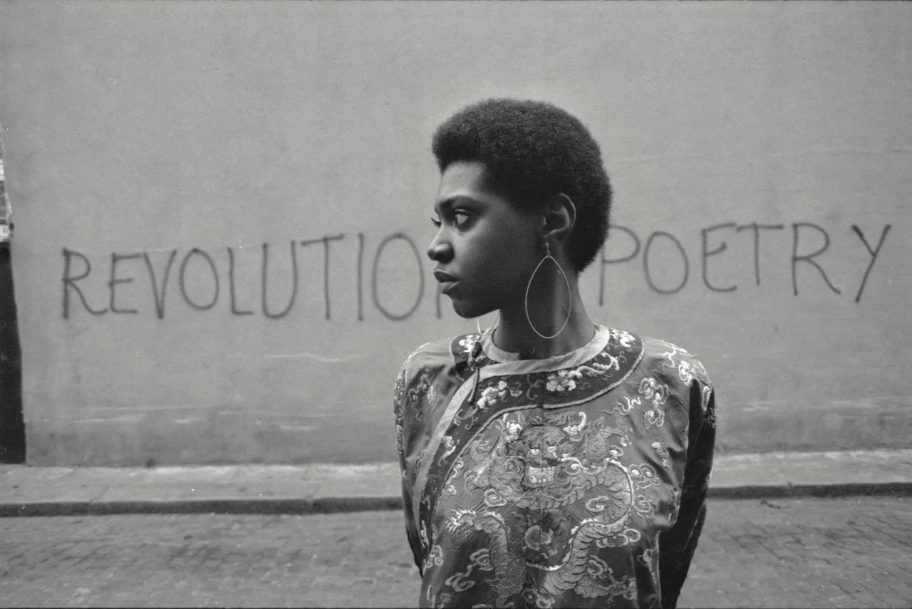 Revolution is Poetry - Richard Braine