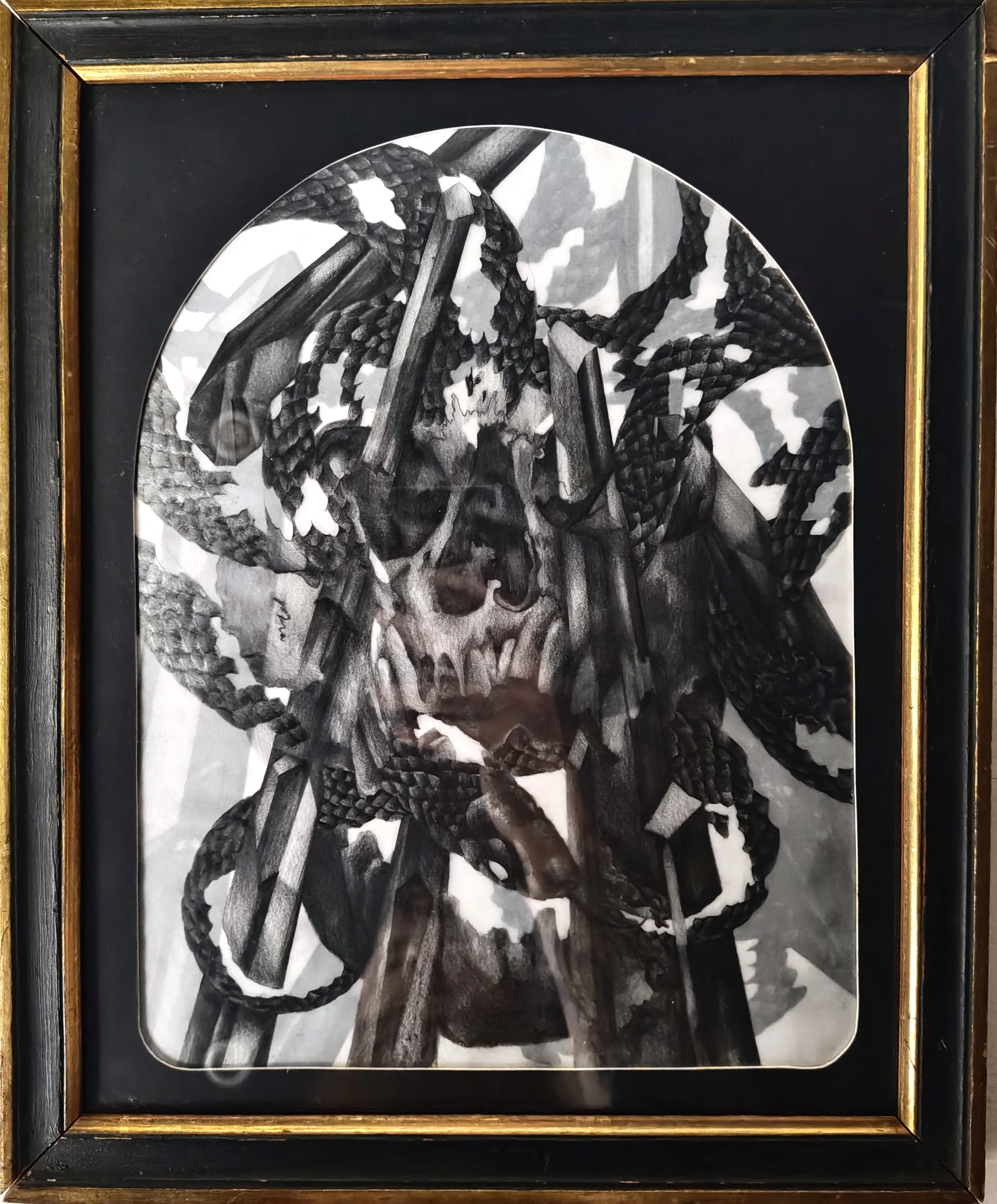 Skull Study XXVII.JPG