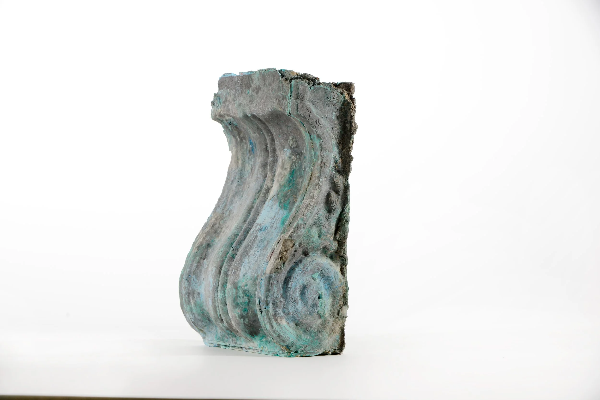 Ammonite 2 .jpeg
