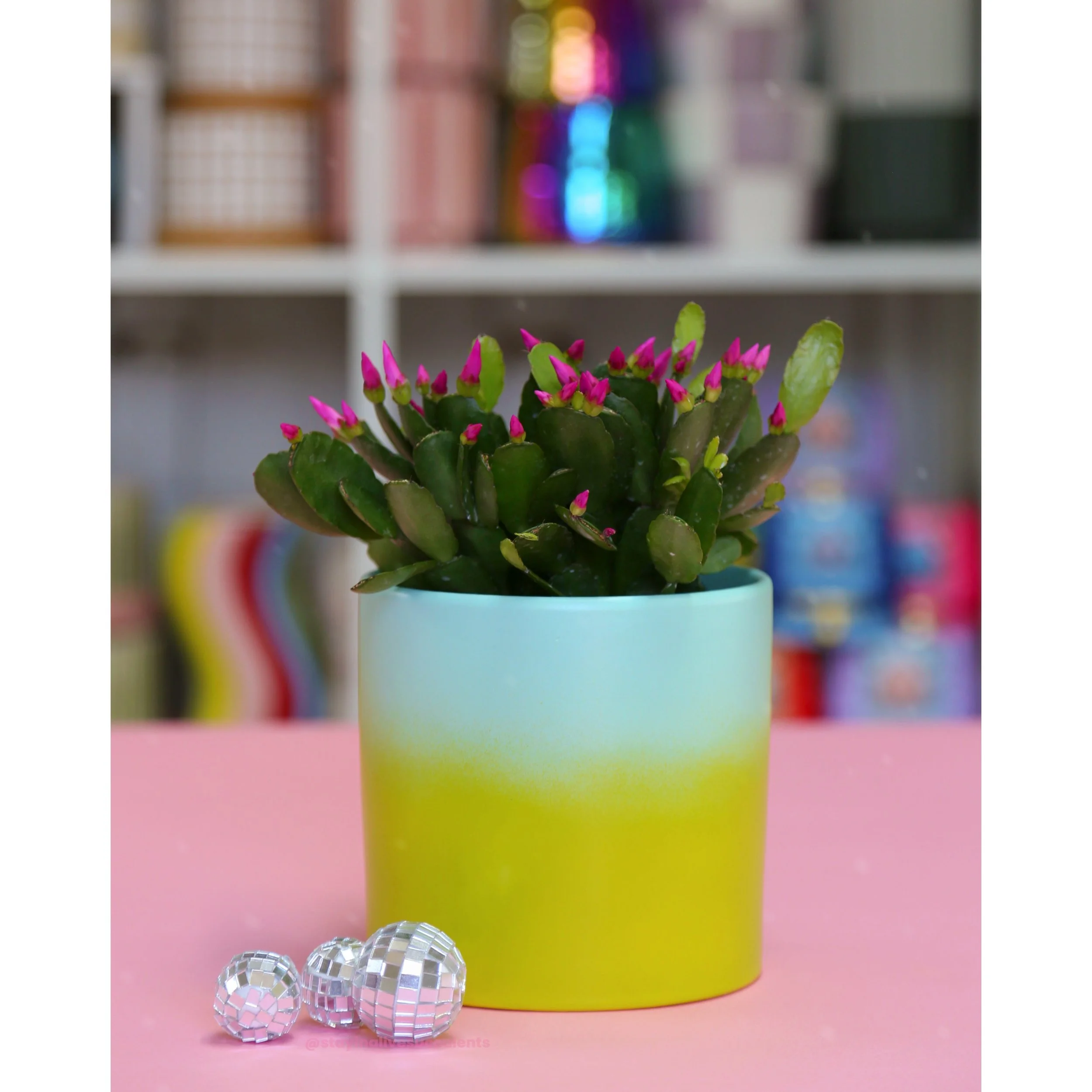 Hand Painted Rainbow Ombre Planters 5" Lime to Mint - Spring Cactus