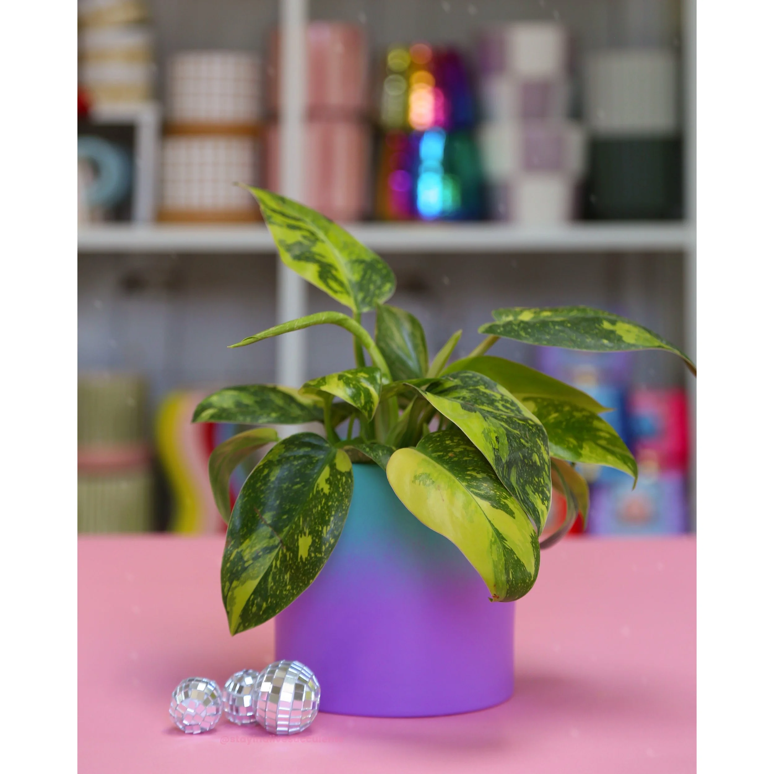 Hand Painted Rainbow Ombre Planters 5" Teal to Purple Philo Congo Nuclear