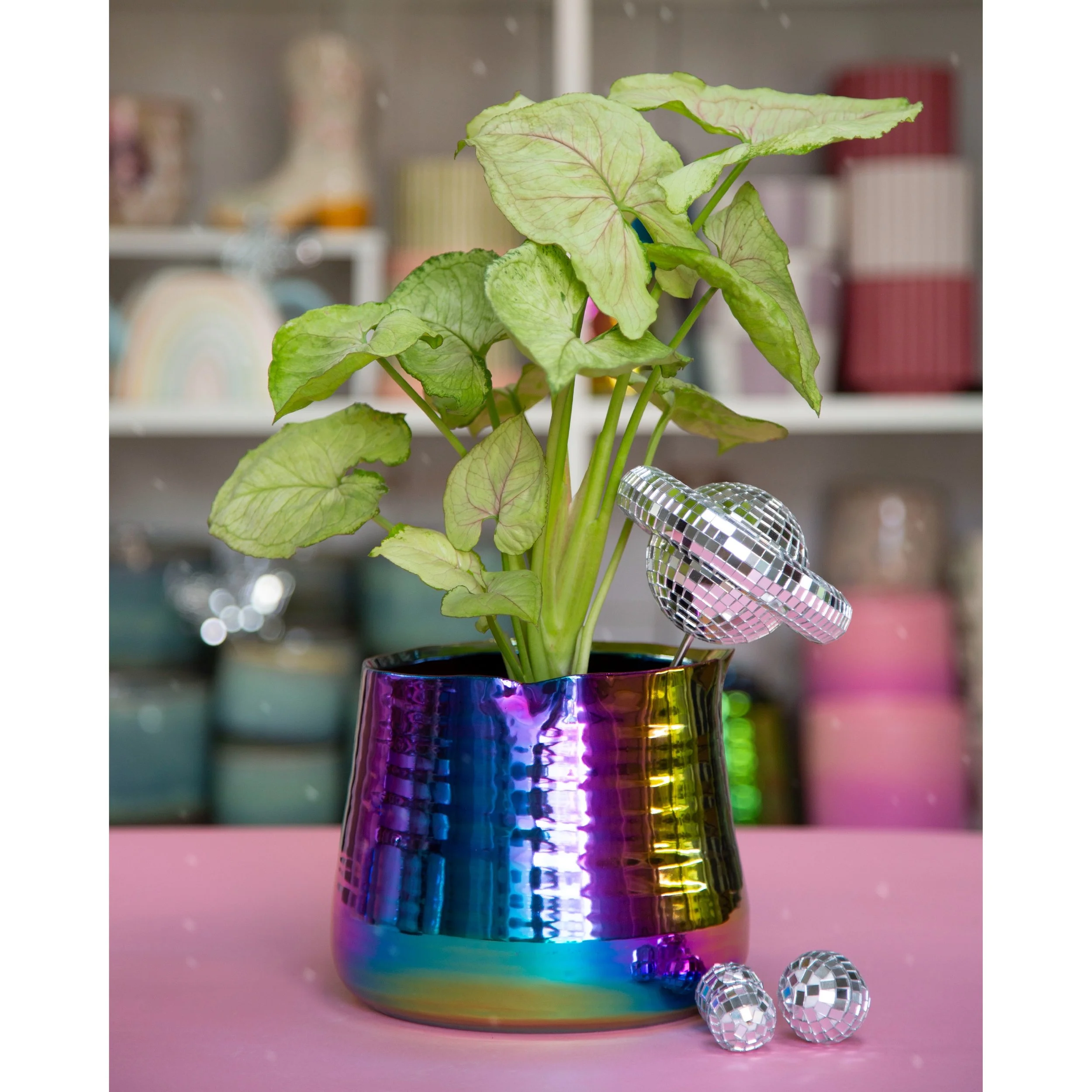 Planet Disco Plant Stake in Tegan Pot