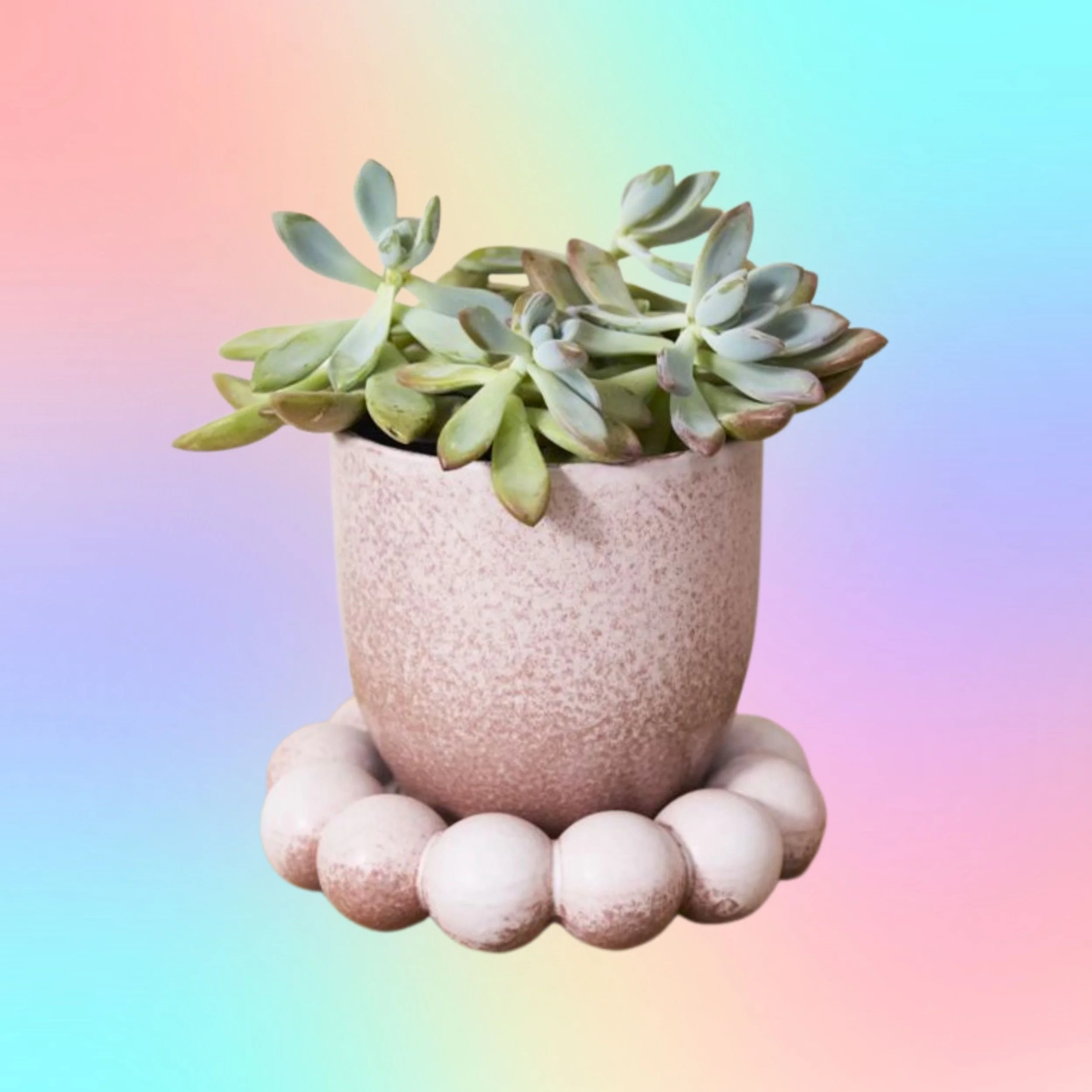 Lilac Pearl Pot with Saucer 5"