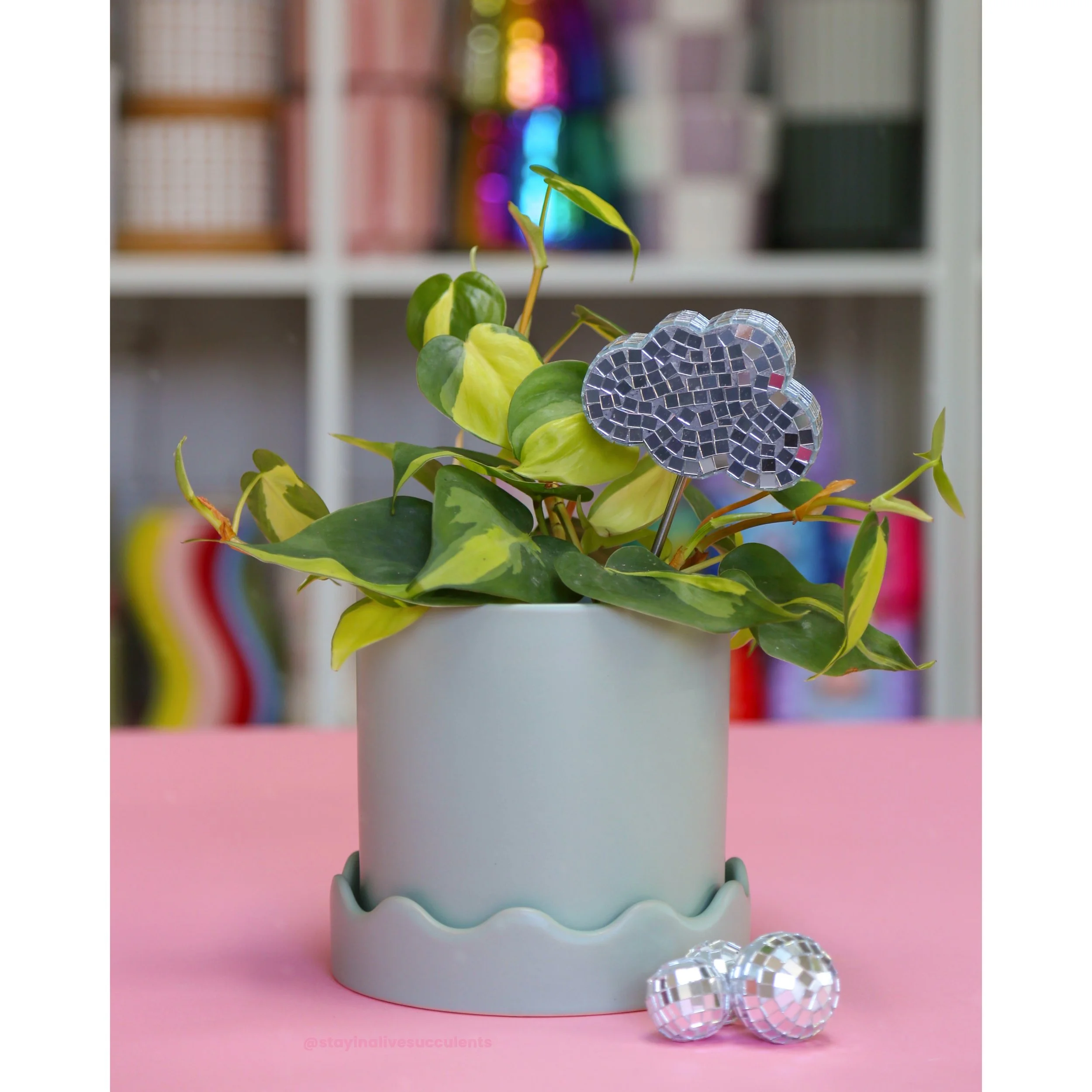 Pissaro Mint Scalloped Planter with Saucer 5" and 7"