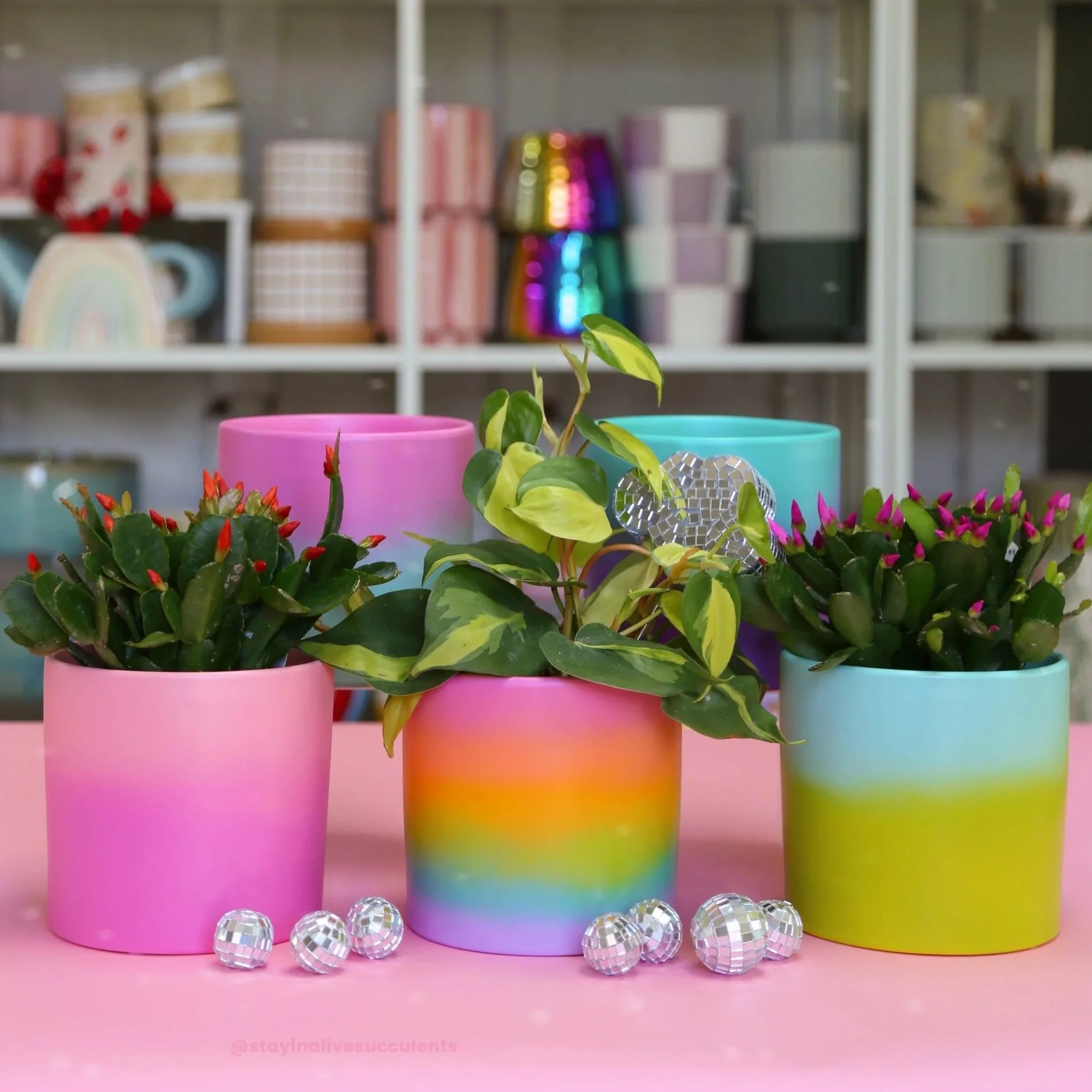 Hand Painted Rainbow Ombre Planters 5"