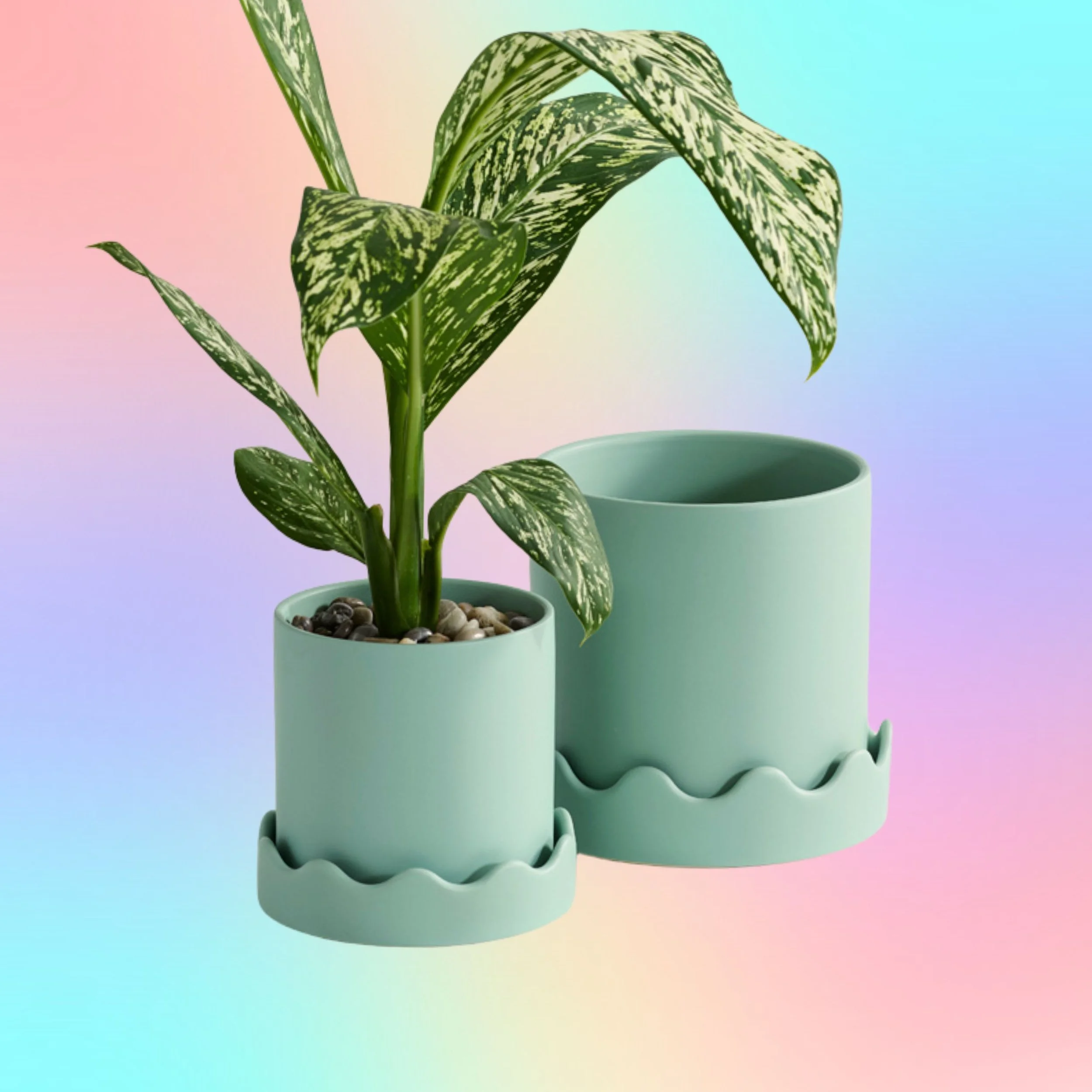 Pissaro Mint Scalloped Planter with Saucer