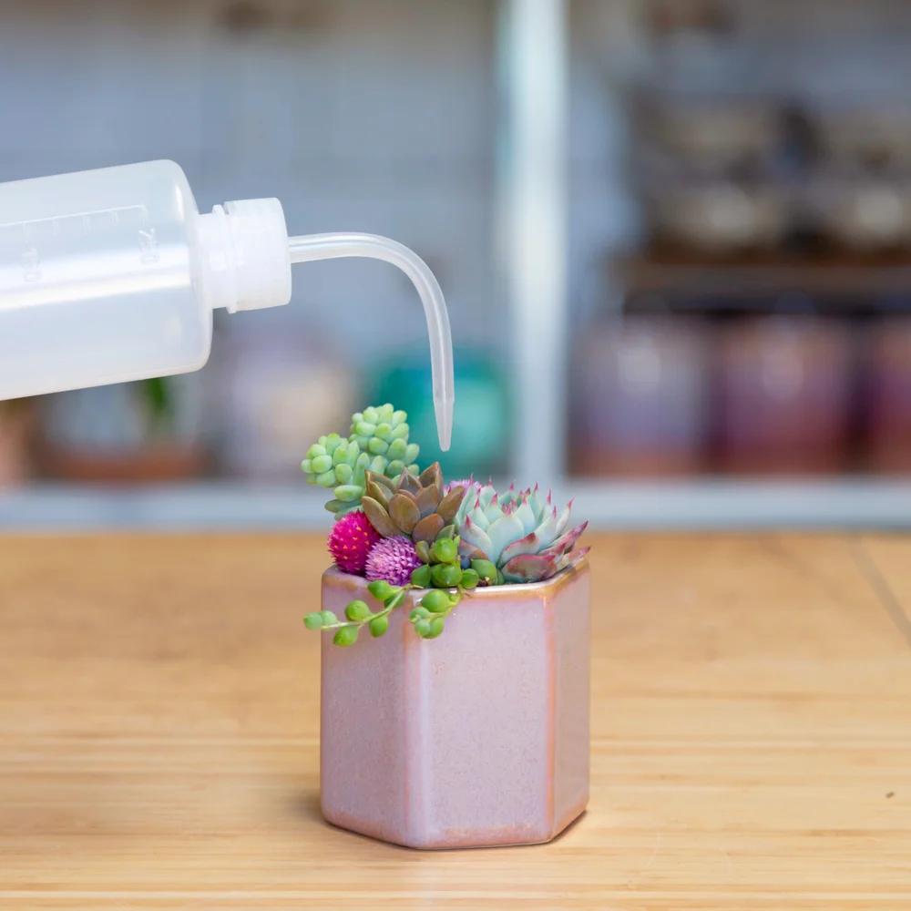 Water Squeeze Bottle 250ML Pink