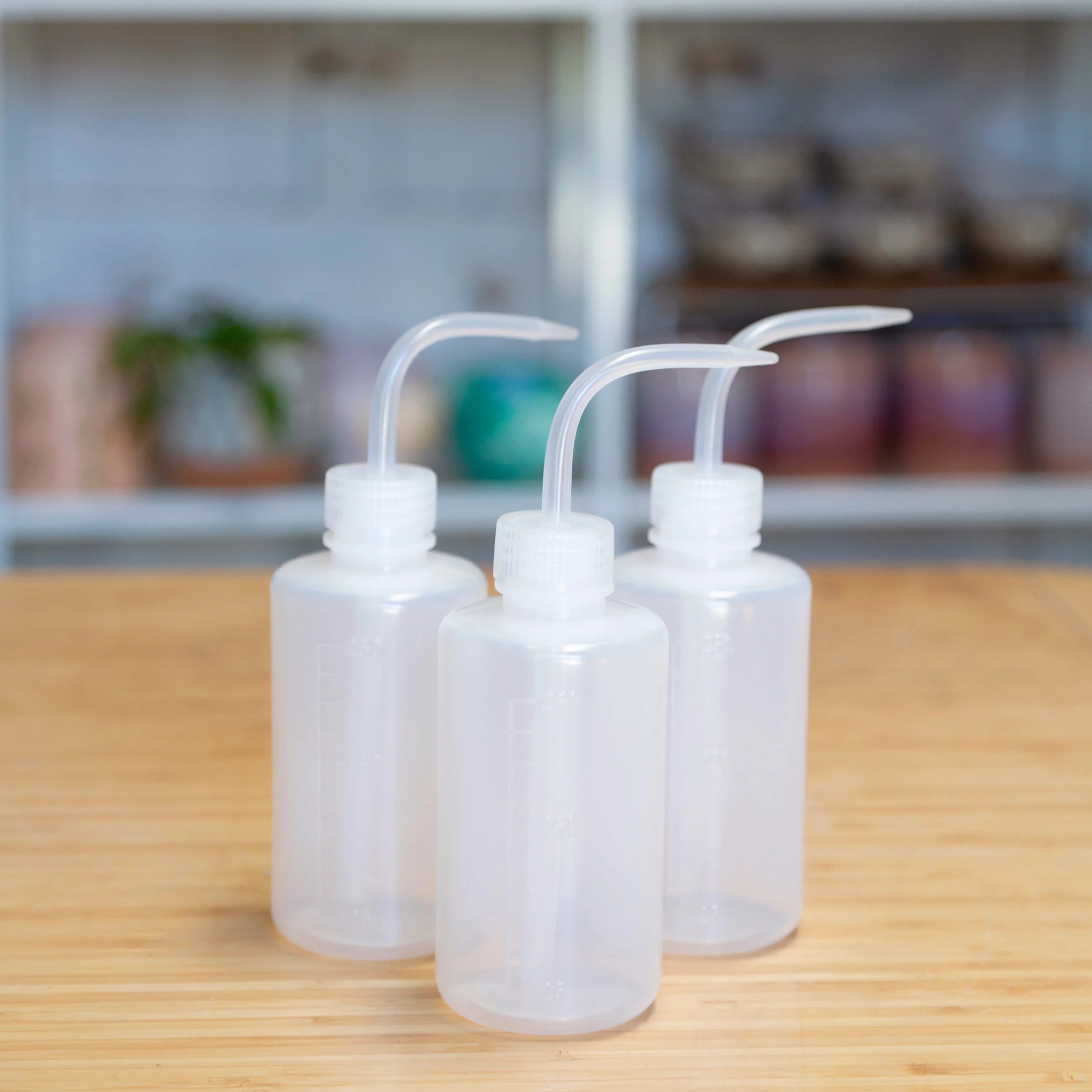 Succulent Watering Bottles 250ml