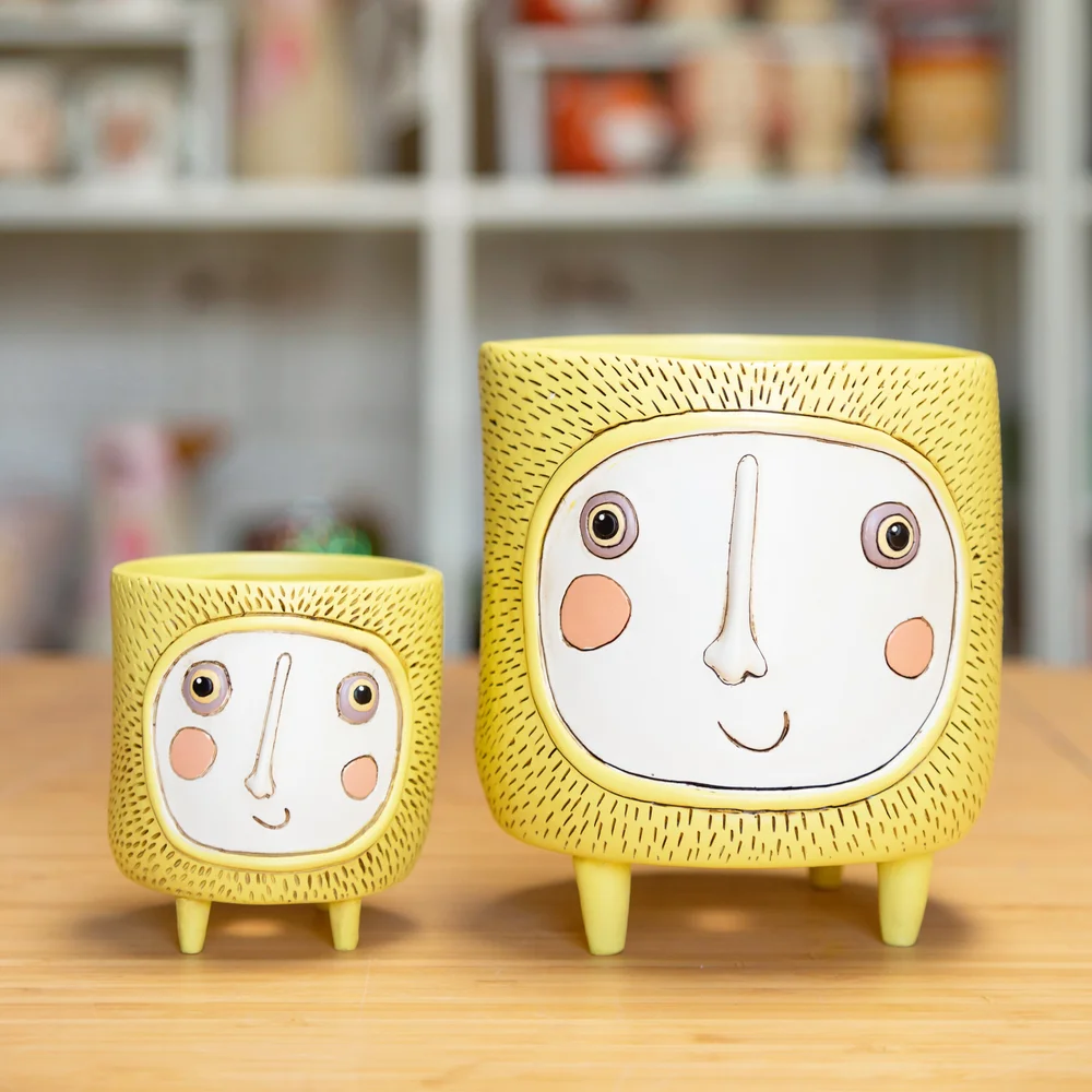 Sunshine planters — Stayin' Alive Succulents