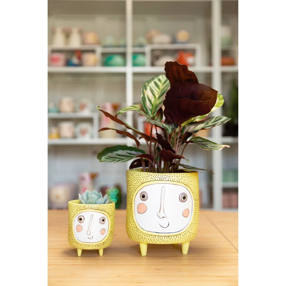 Sunshine planters — Stayin' Alive Succulents