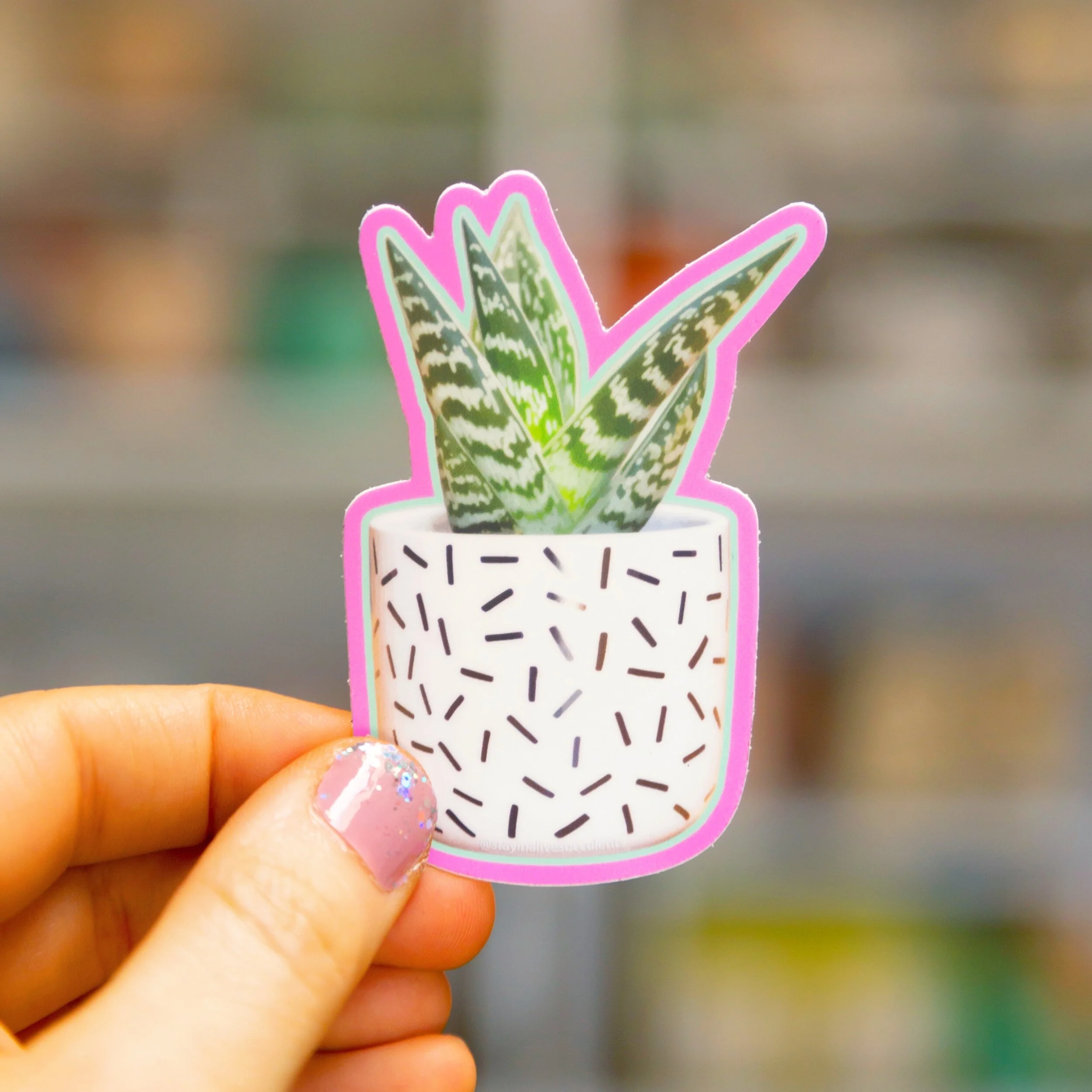 Tiger Aloe Plant Sticker in Confetti Pot