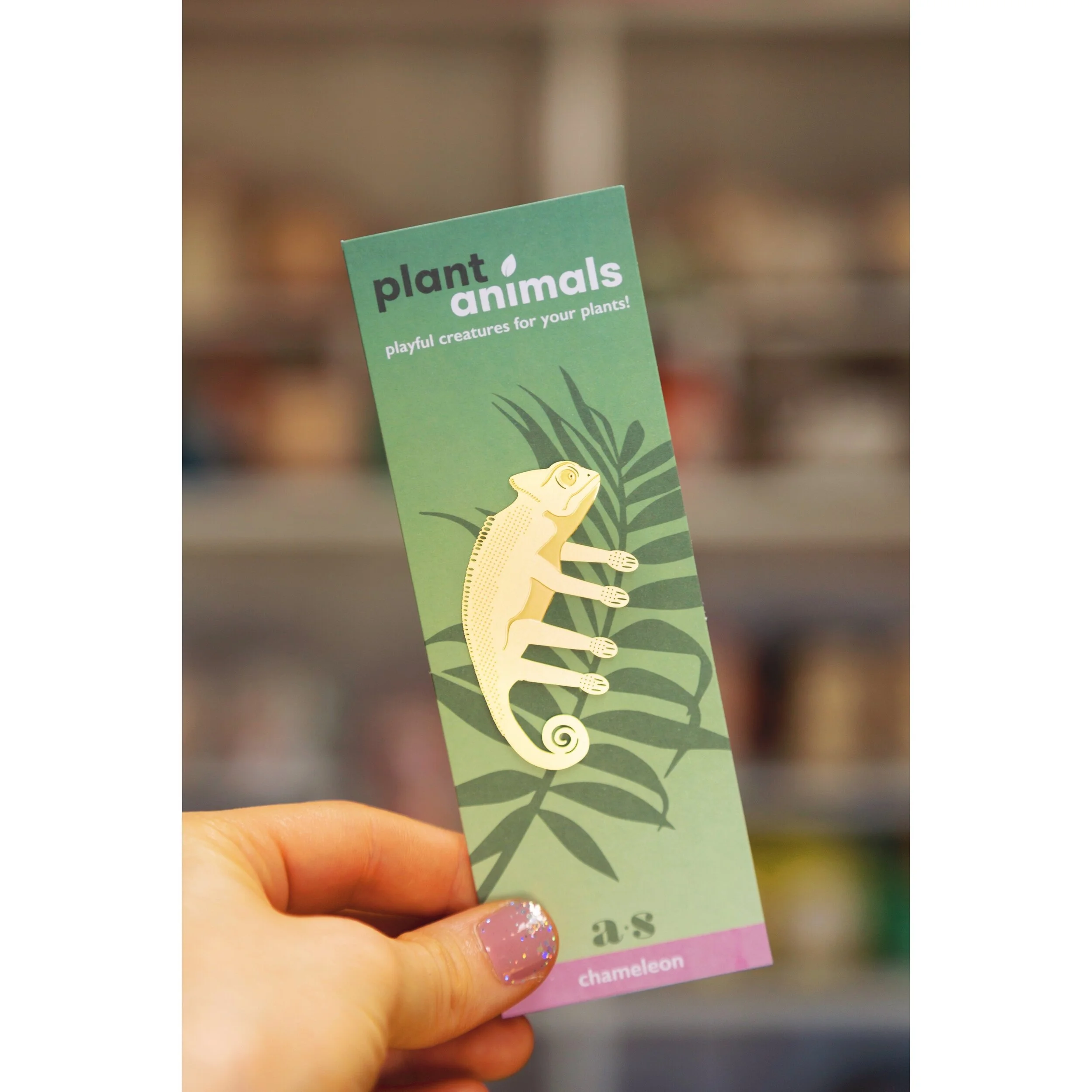 Chameleon Plant Animal