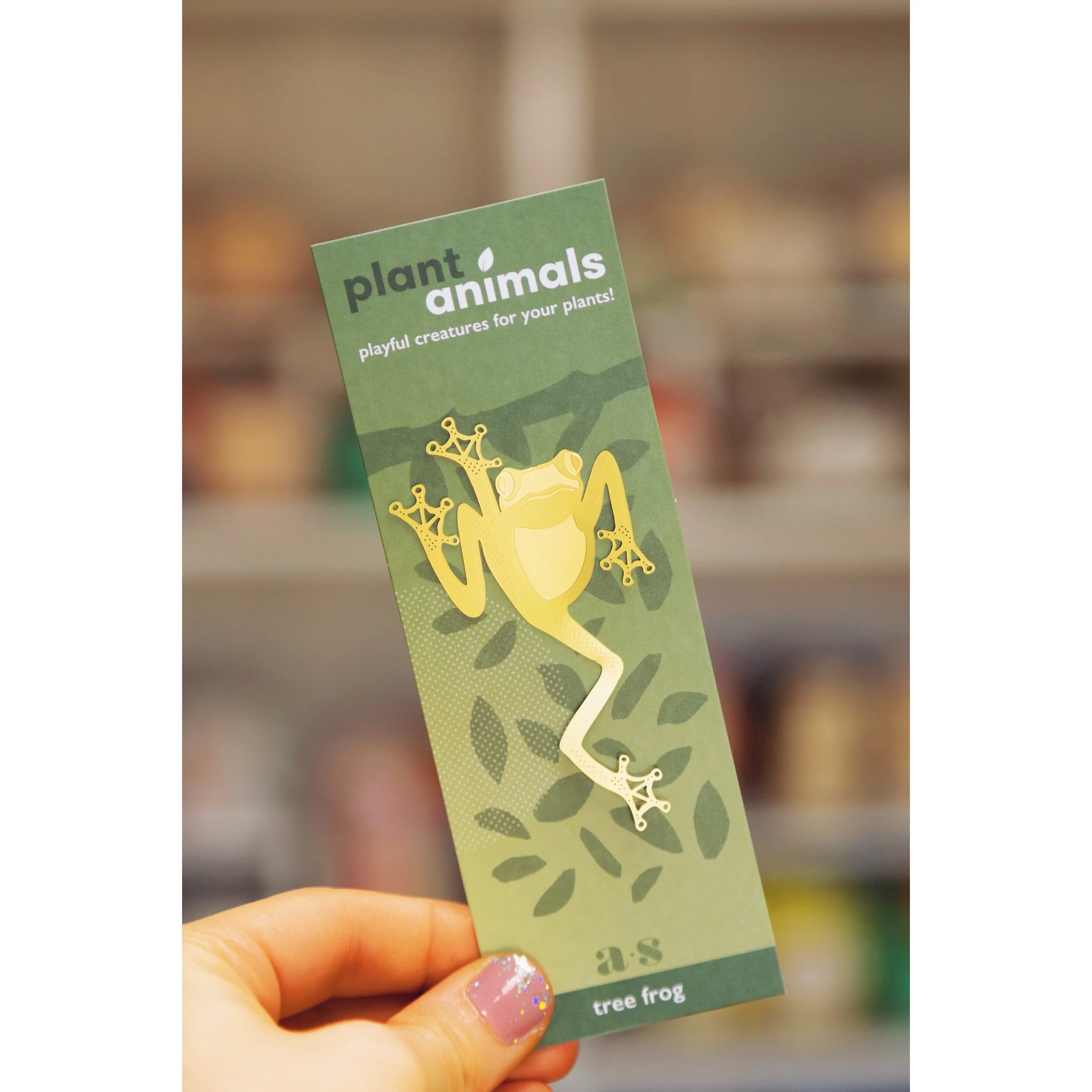 Tree Frog Plant Animal