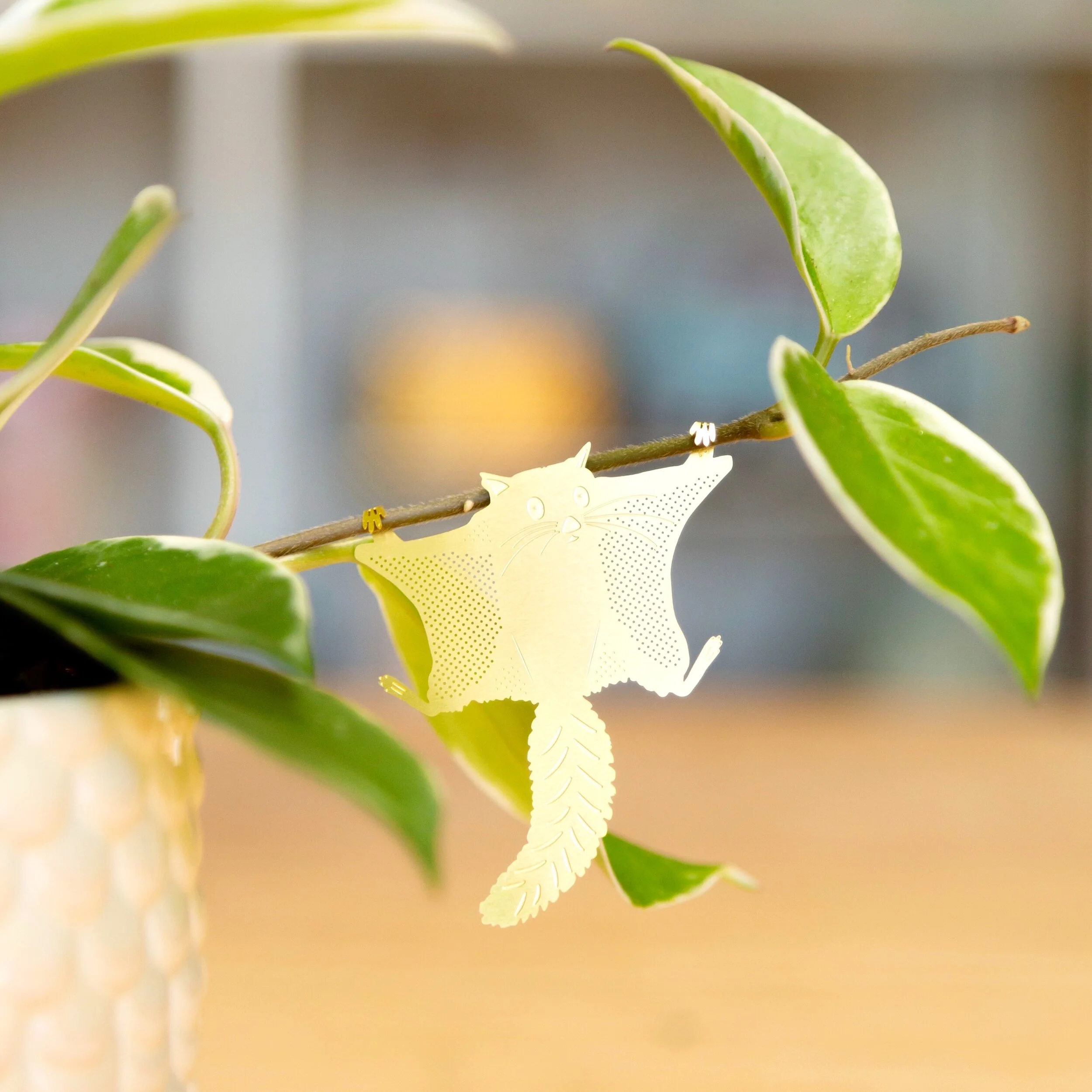 Flying Squirrel Plant Animal
