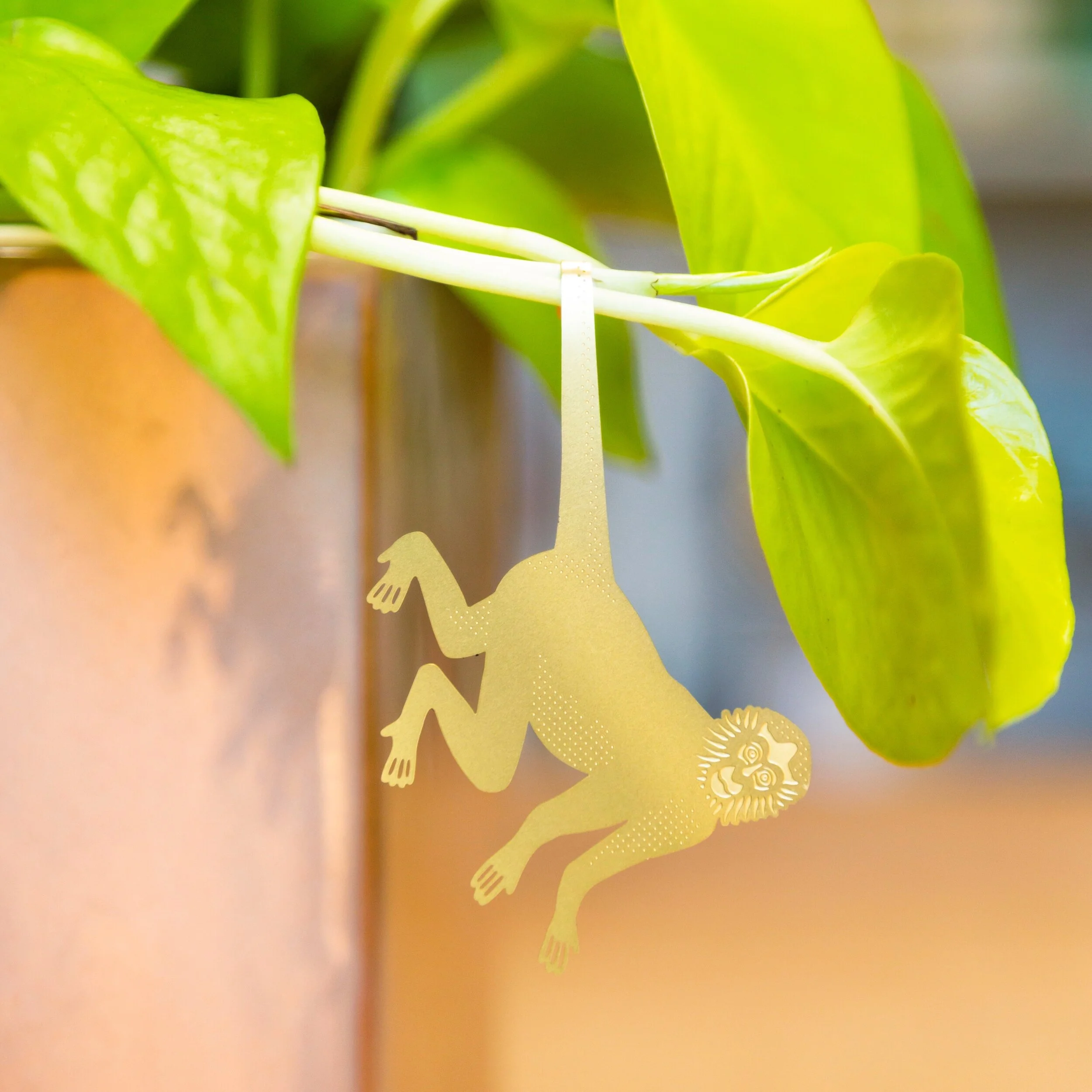 Spider Monkey Plant Animal