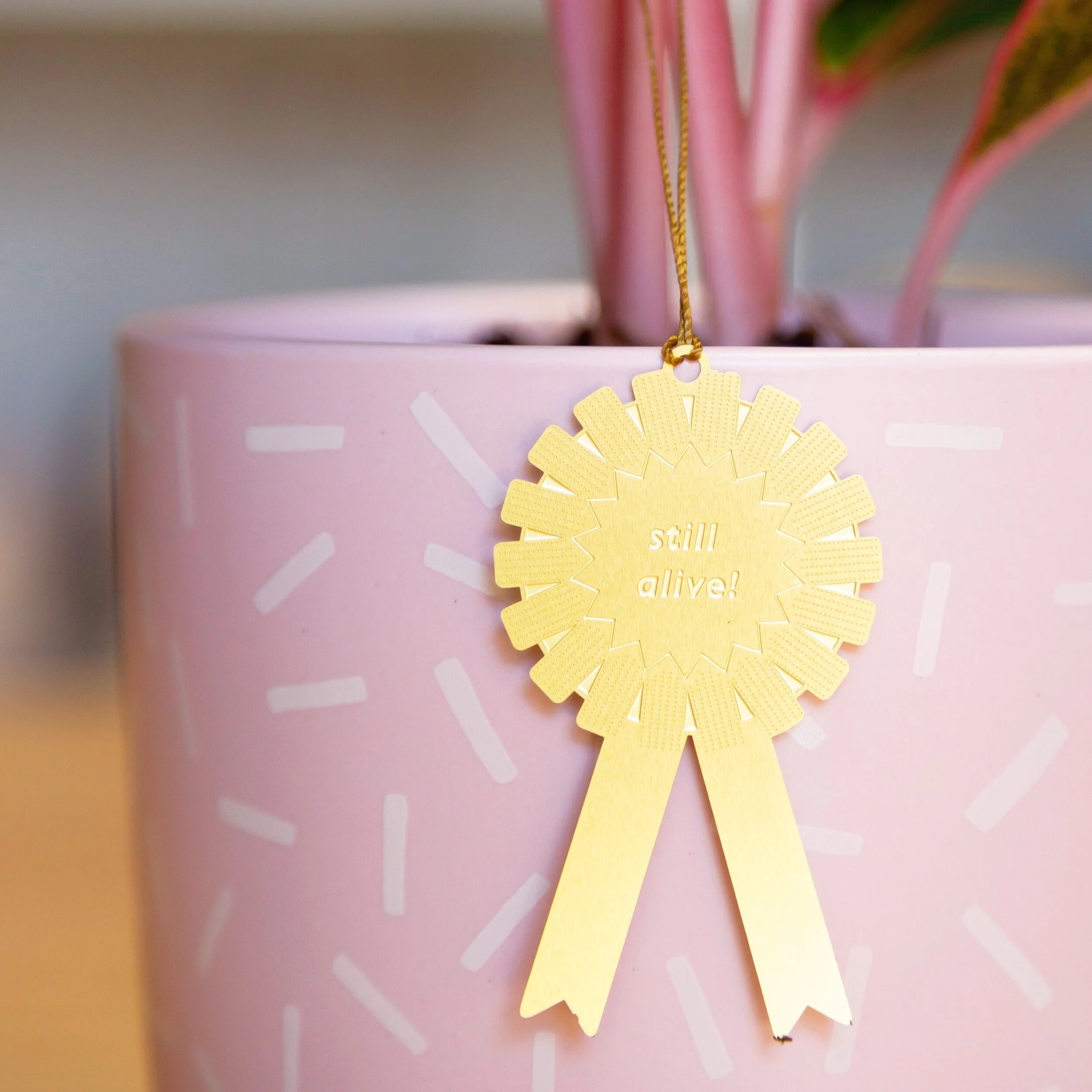 Still Alive! Plant Award - Plant accessory