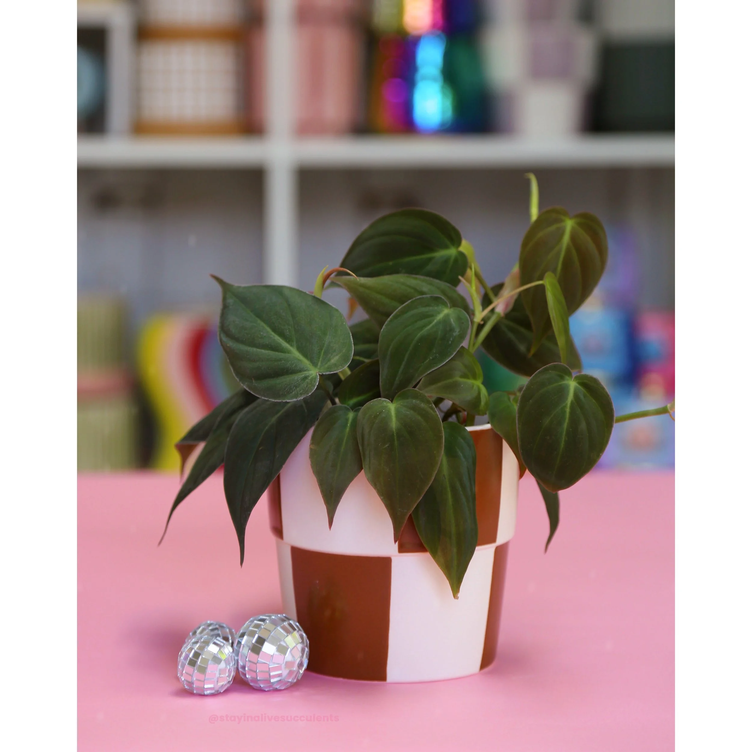 Terracotta Checkerboard Planter 5"