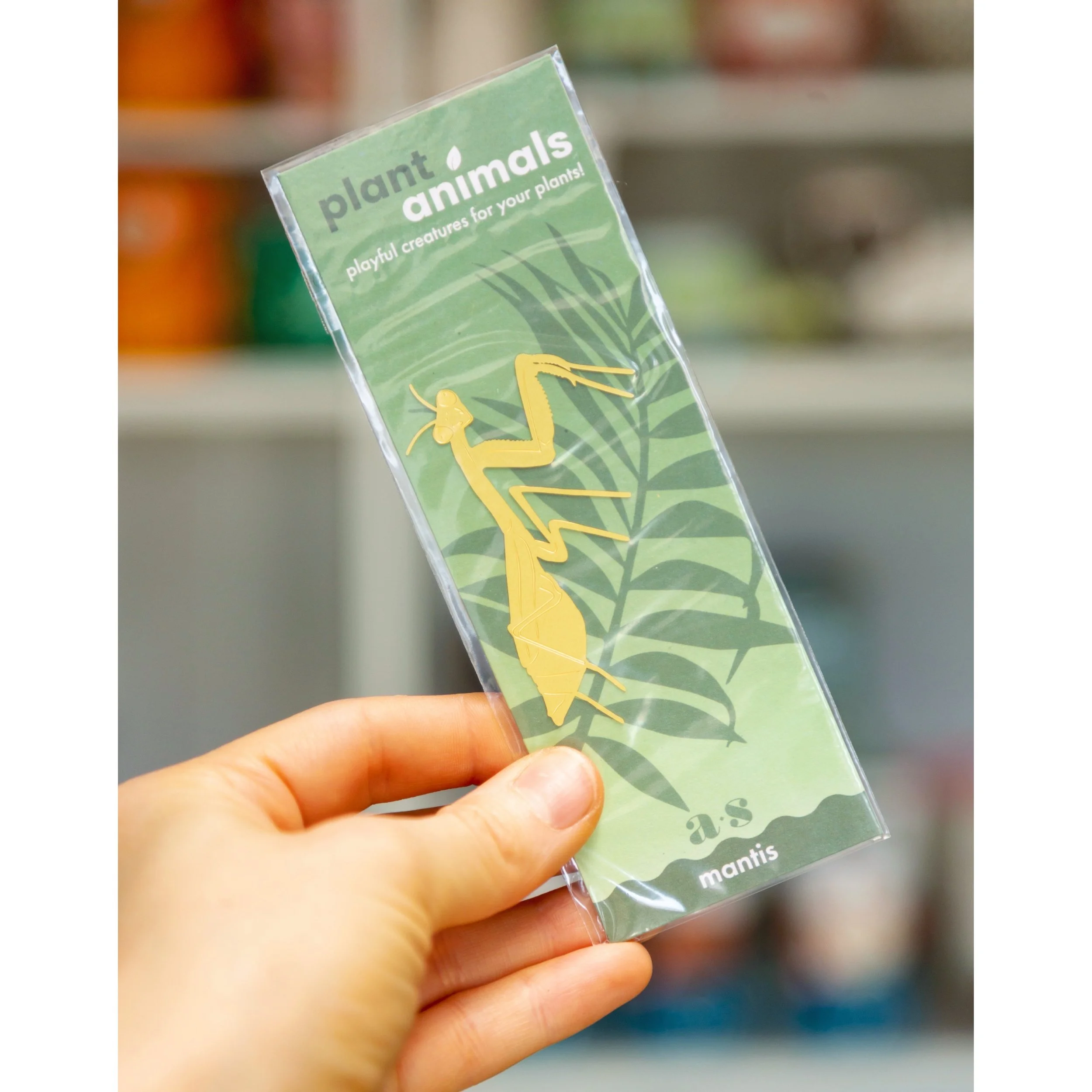 Praying Mantis Plant Animal