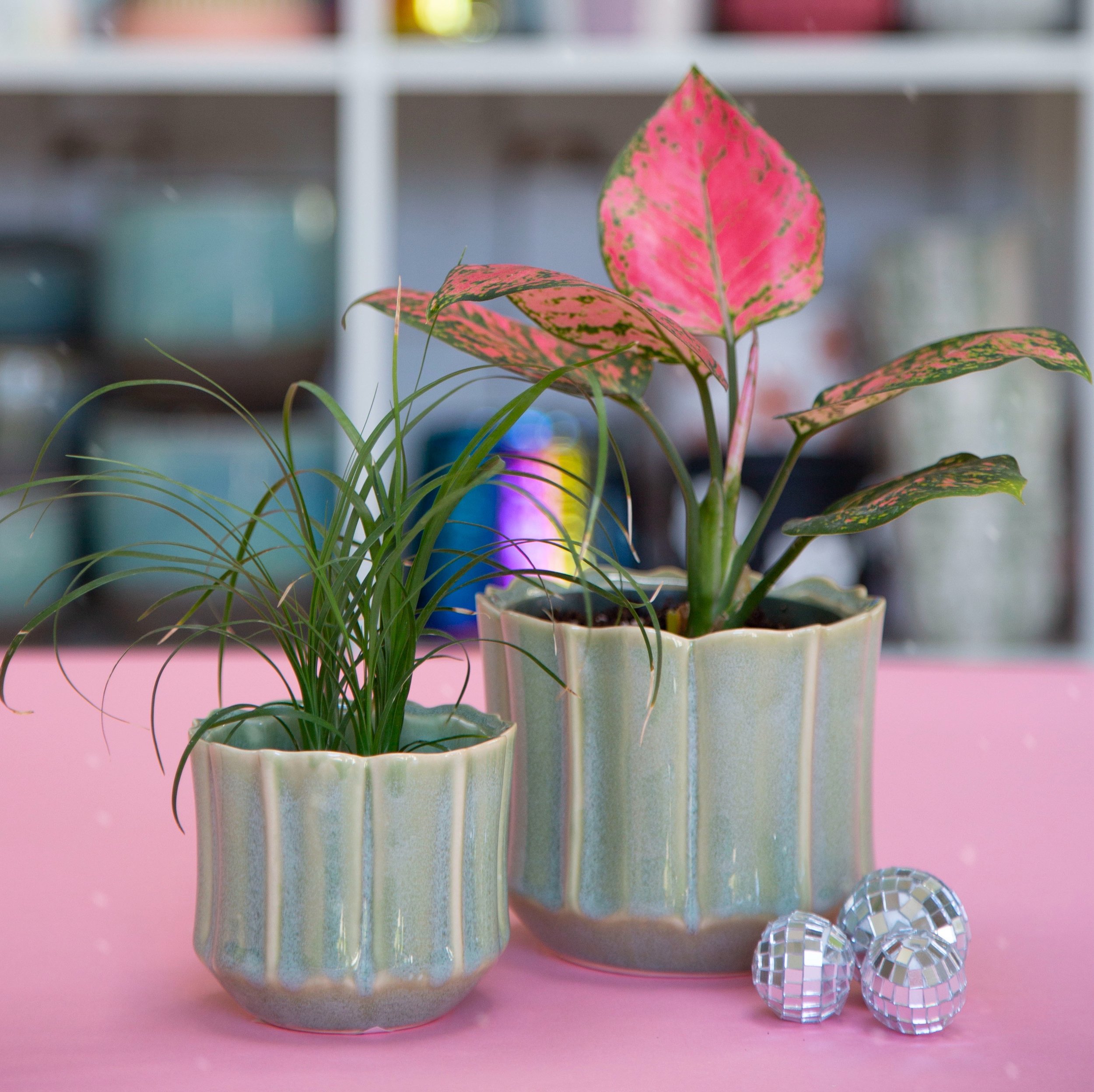 Everleaf Mint Glazed Pot 3" and 4"