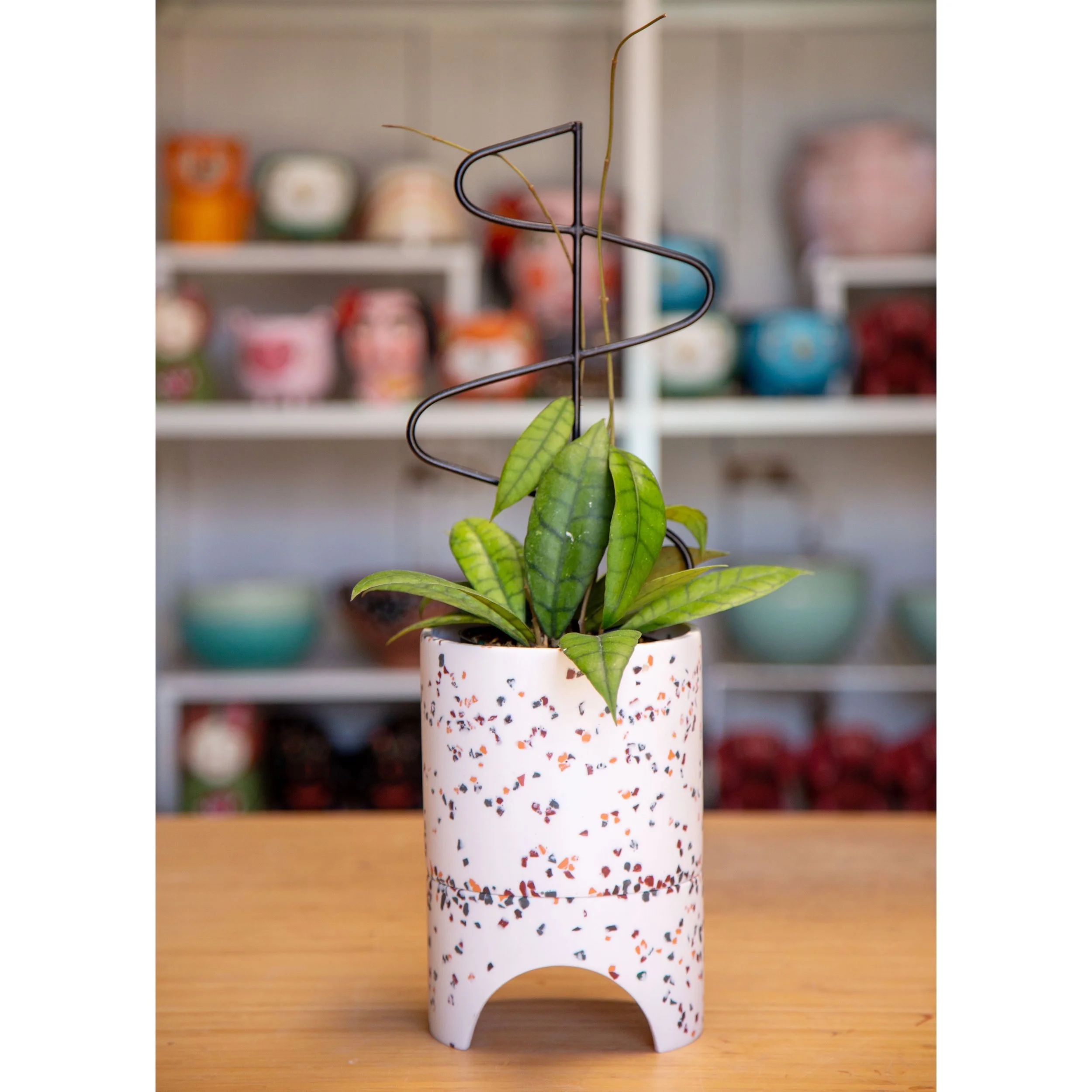 Black Squiggle Plant Stake