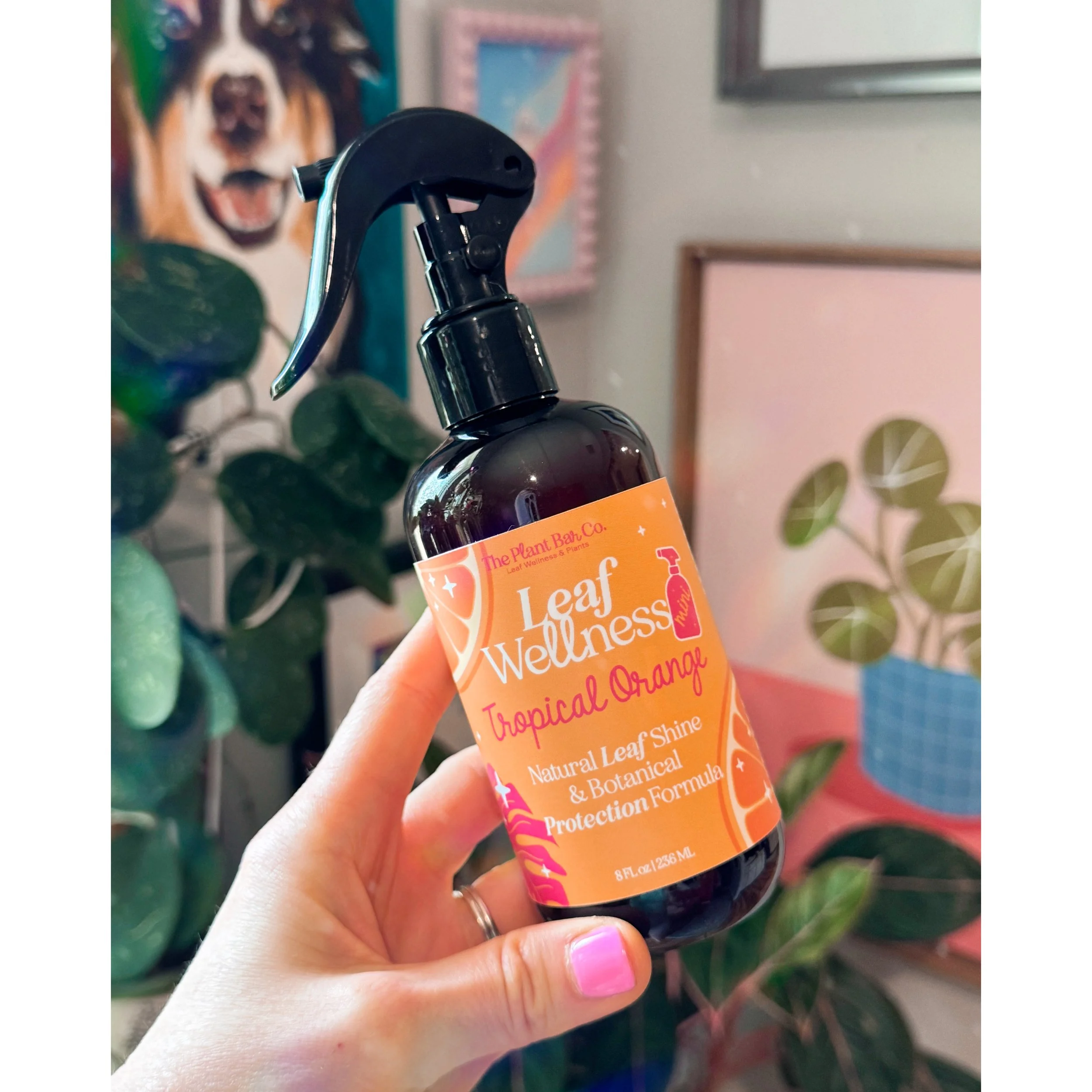 Leaf Wellness - Organic Leaf Shine/Pest Preventative - Tropical Orange 8oz or 16oz