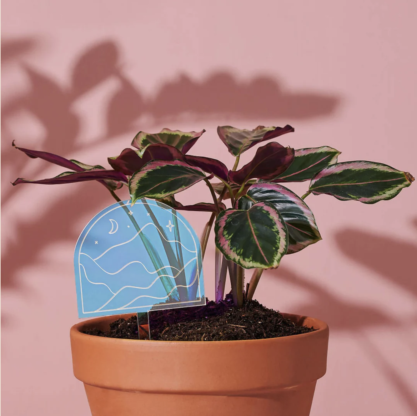 Iridescent Plantscapes - Plant Stakes
