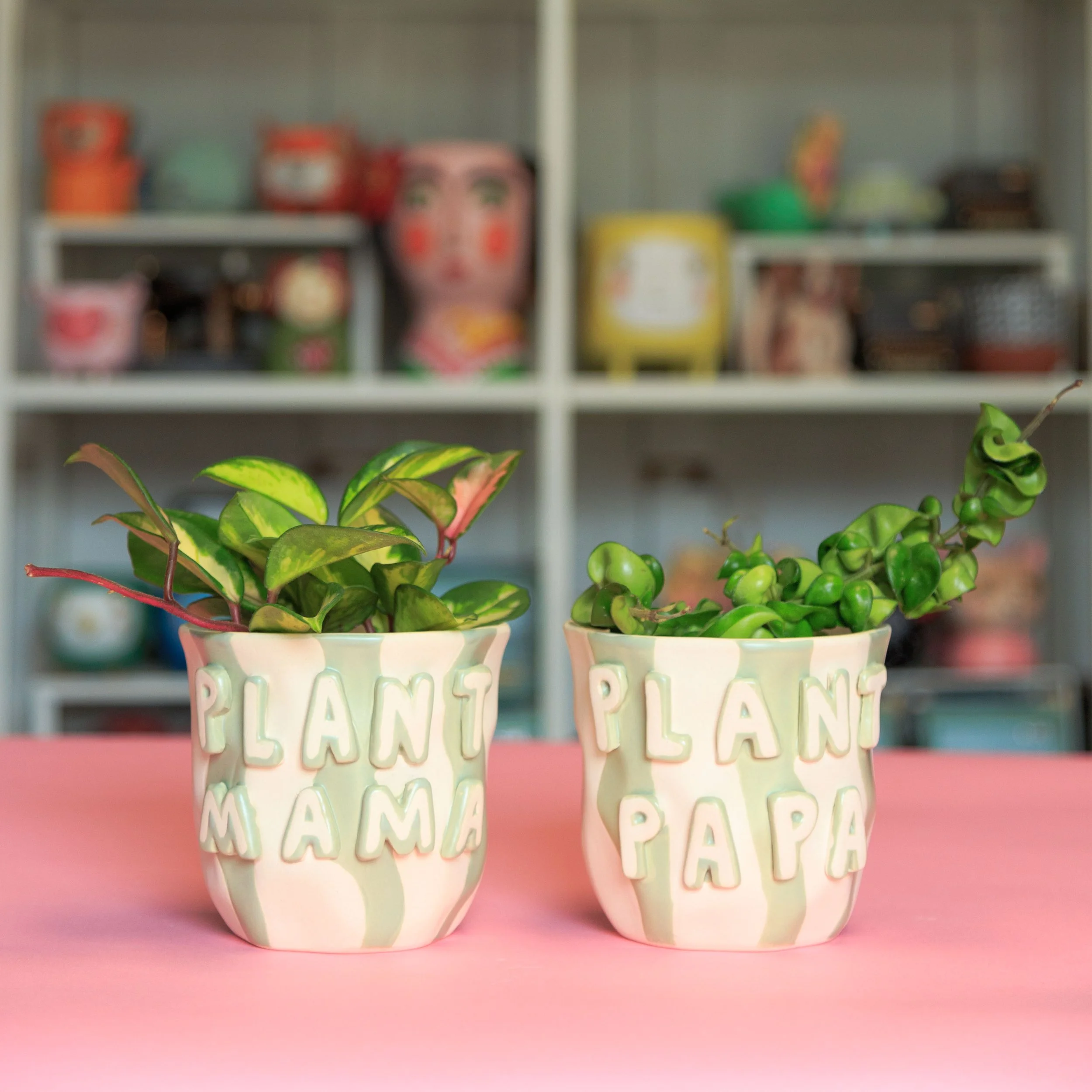 Planters — Stayin' Alive Succulents
