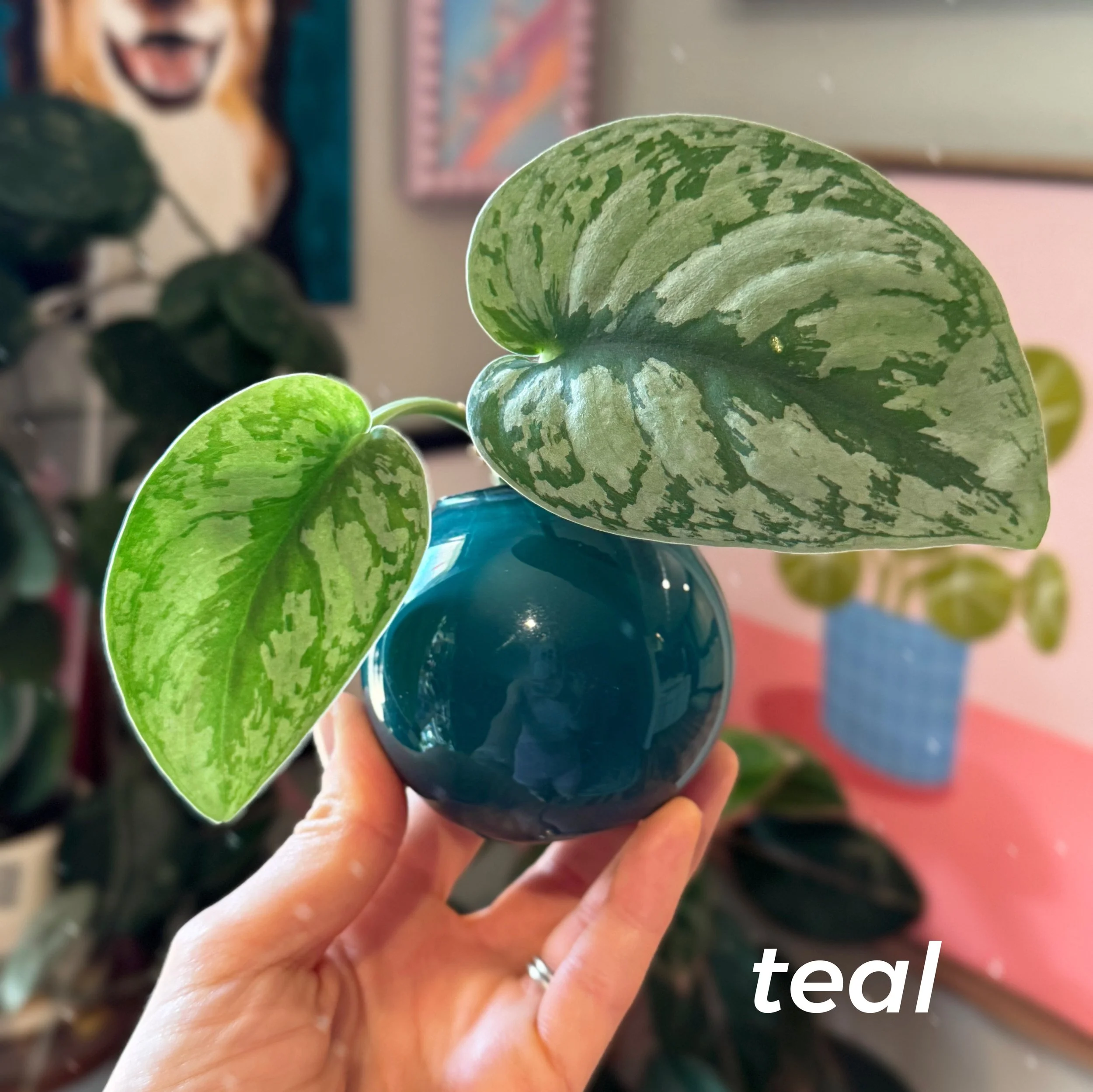 Propagation Ball Vases - Teal