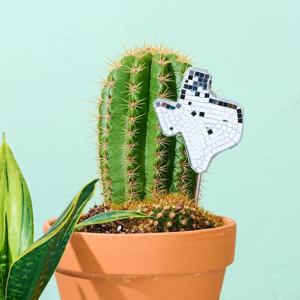 Texas Disco Plant Stake