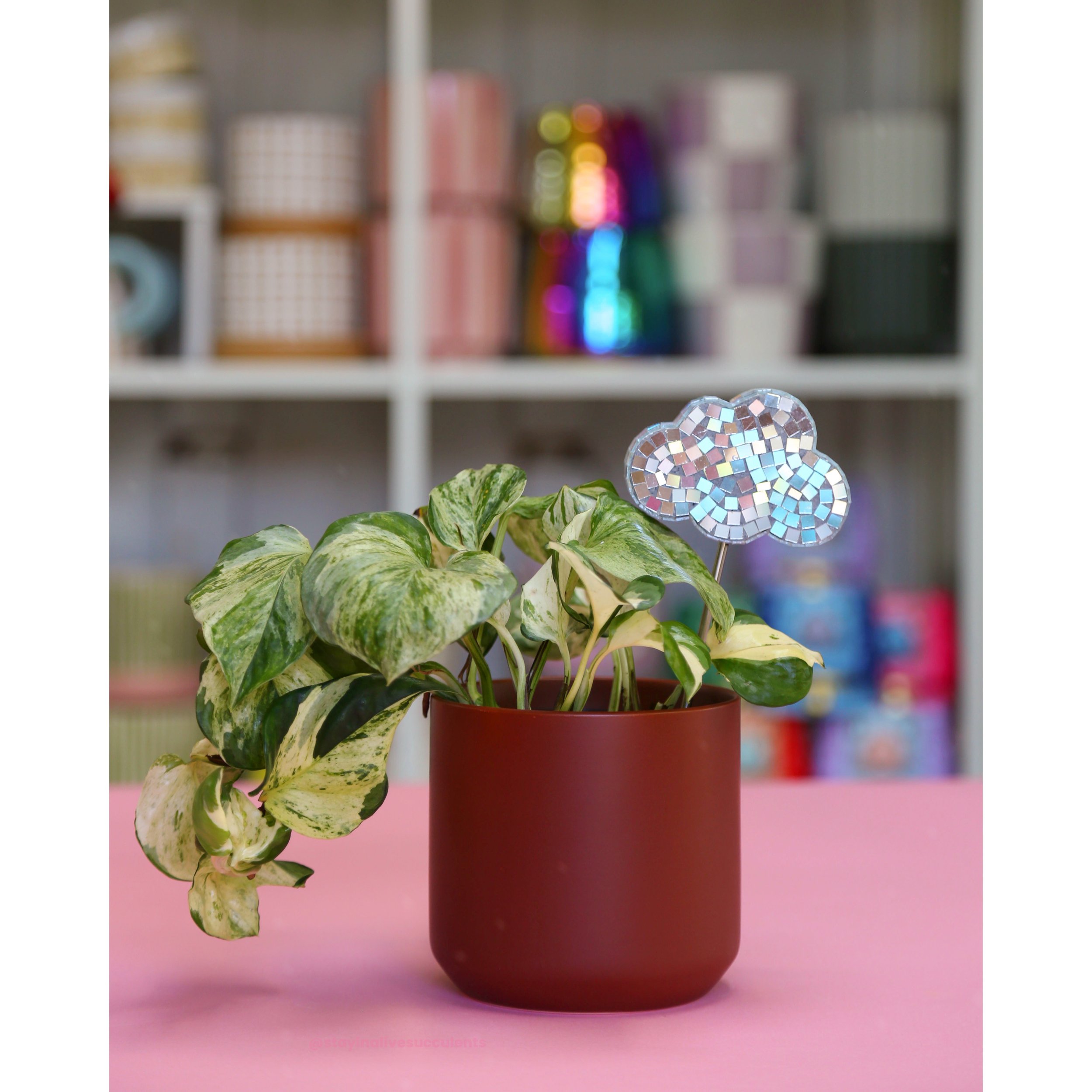 Dark Brown Kendall Pot 4"