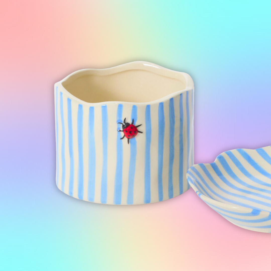 Ladybug Pot and Saucer