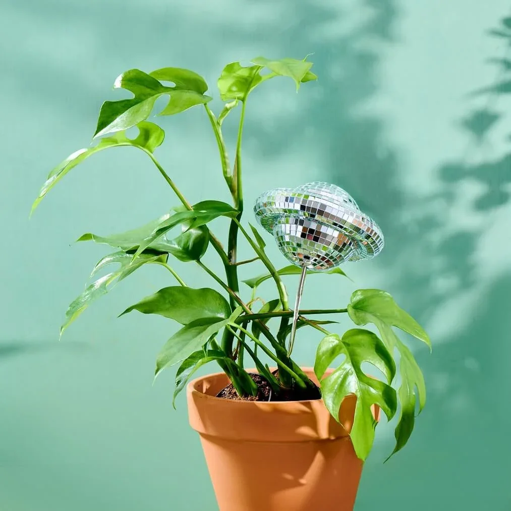 Planet Disco Plant Stake