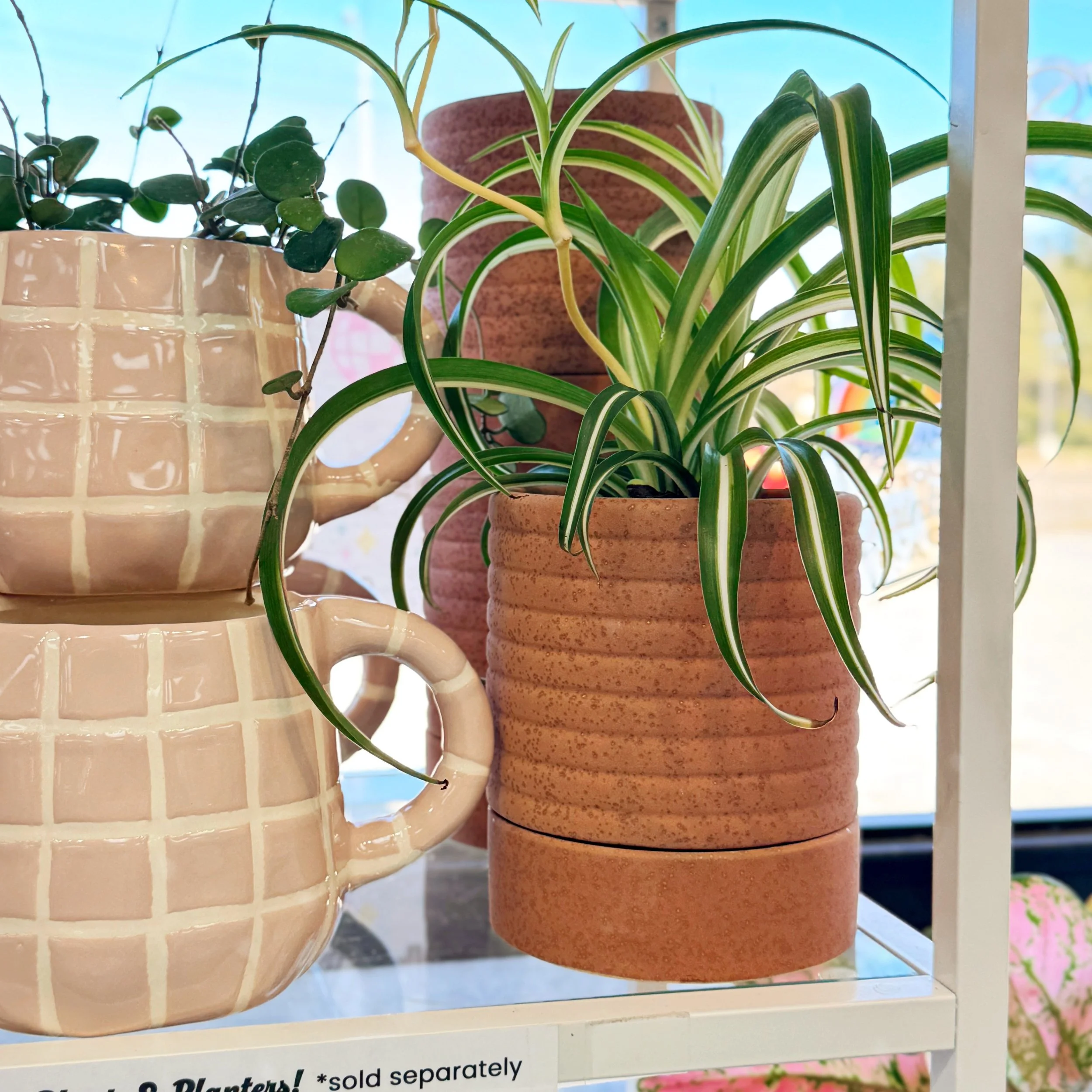 Bardo Pot with Saucer