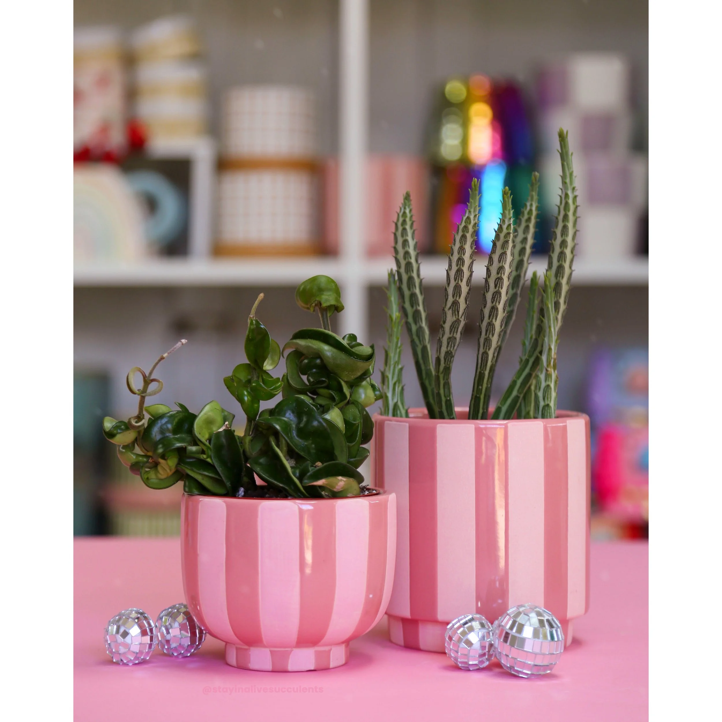 Candy Pink Striped Ceramic Planters 4" and 5"