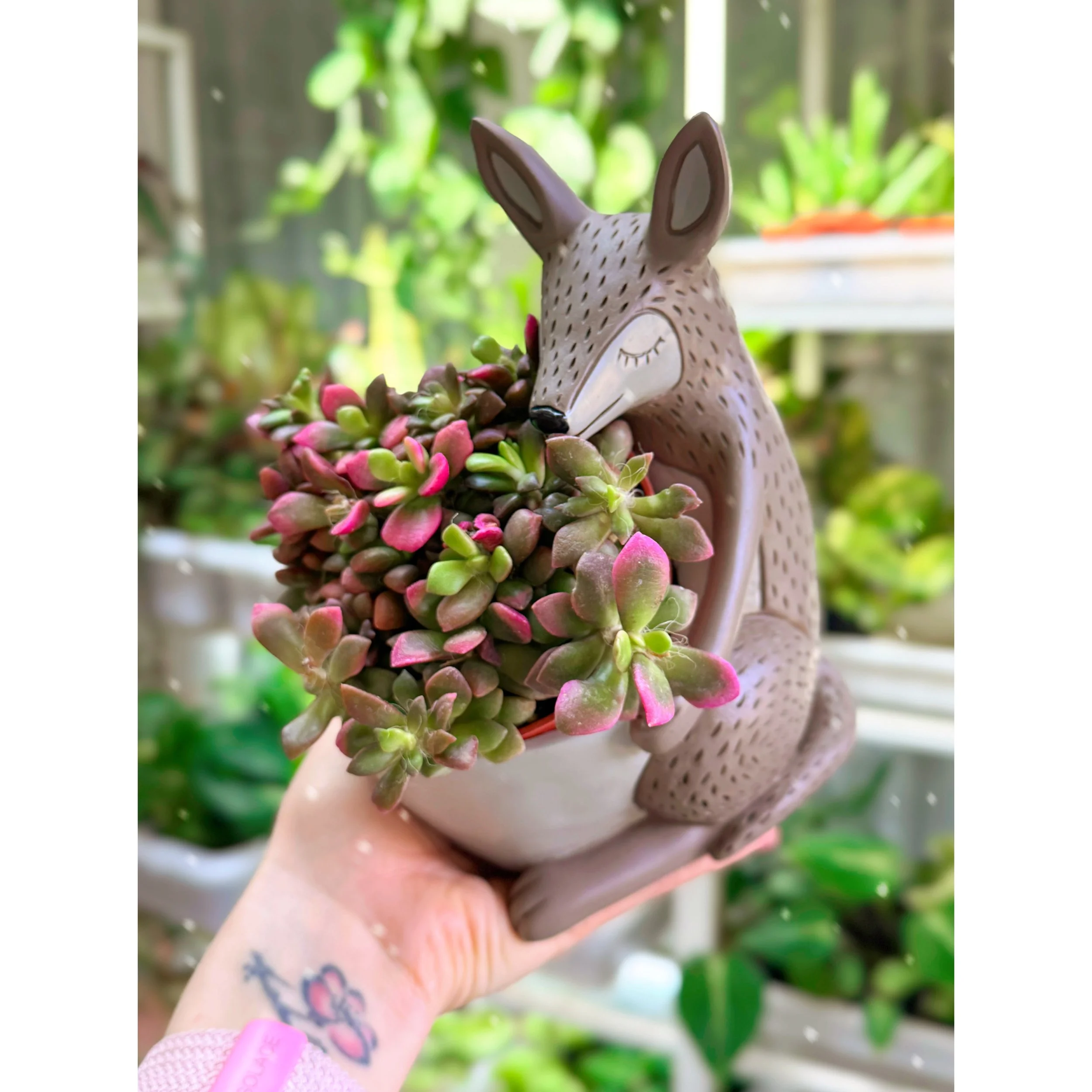 Kangaroo Planter - Baby or Mama